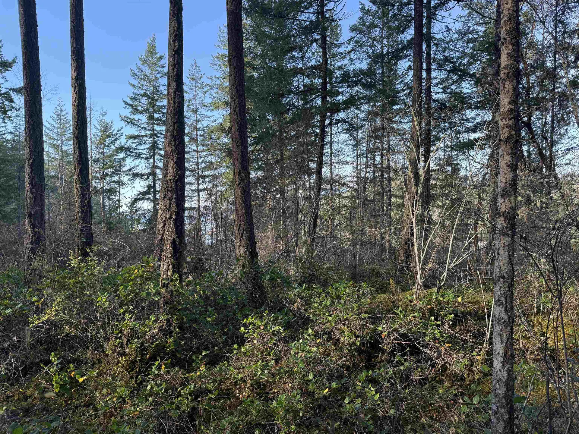 Property at LOT B FRANCIS PENINSULA ROAD, Madeira Park, BC