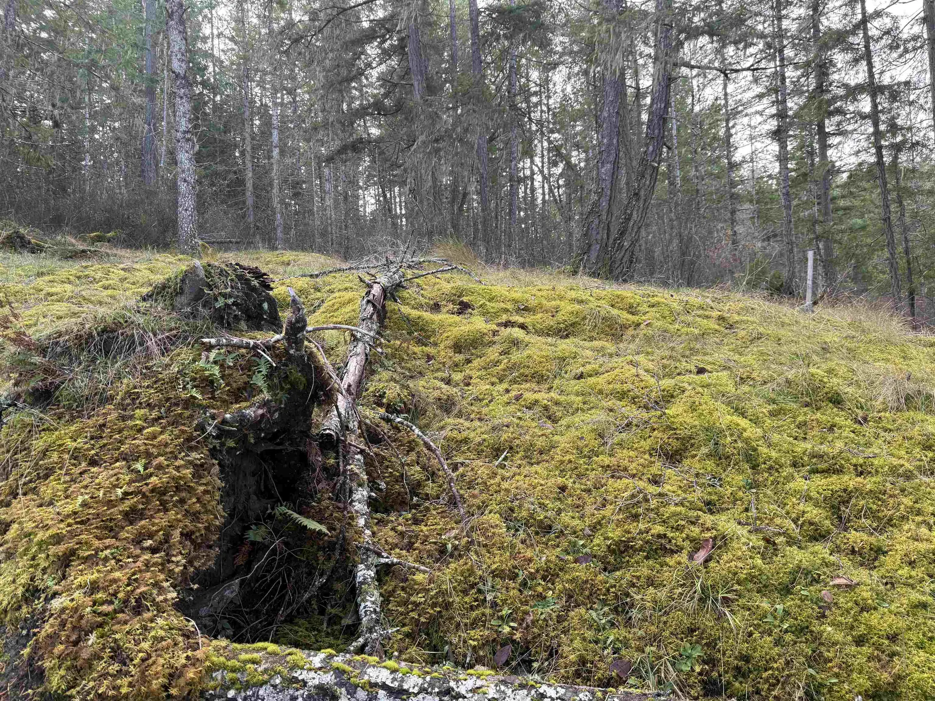 Property at LOT B FRANCIS PENINSULA ROAD, Madeira Park, BC