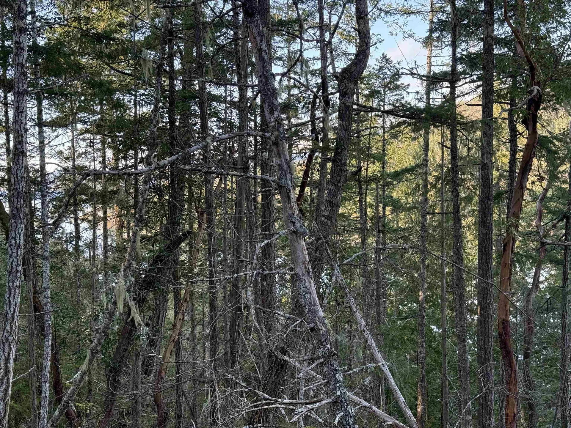 Property at LOT B FRANCIS PENINSULA ROAD, Madeira Park, BC