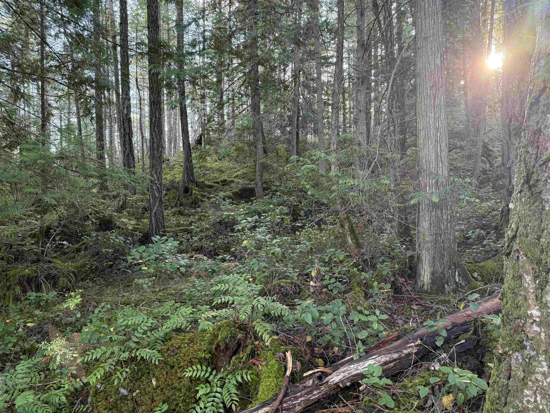 Property at LOT B FRANCIS PENINSULA ROAD, Madeira Park, BC