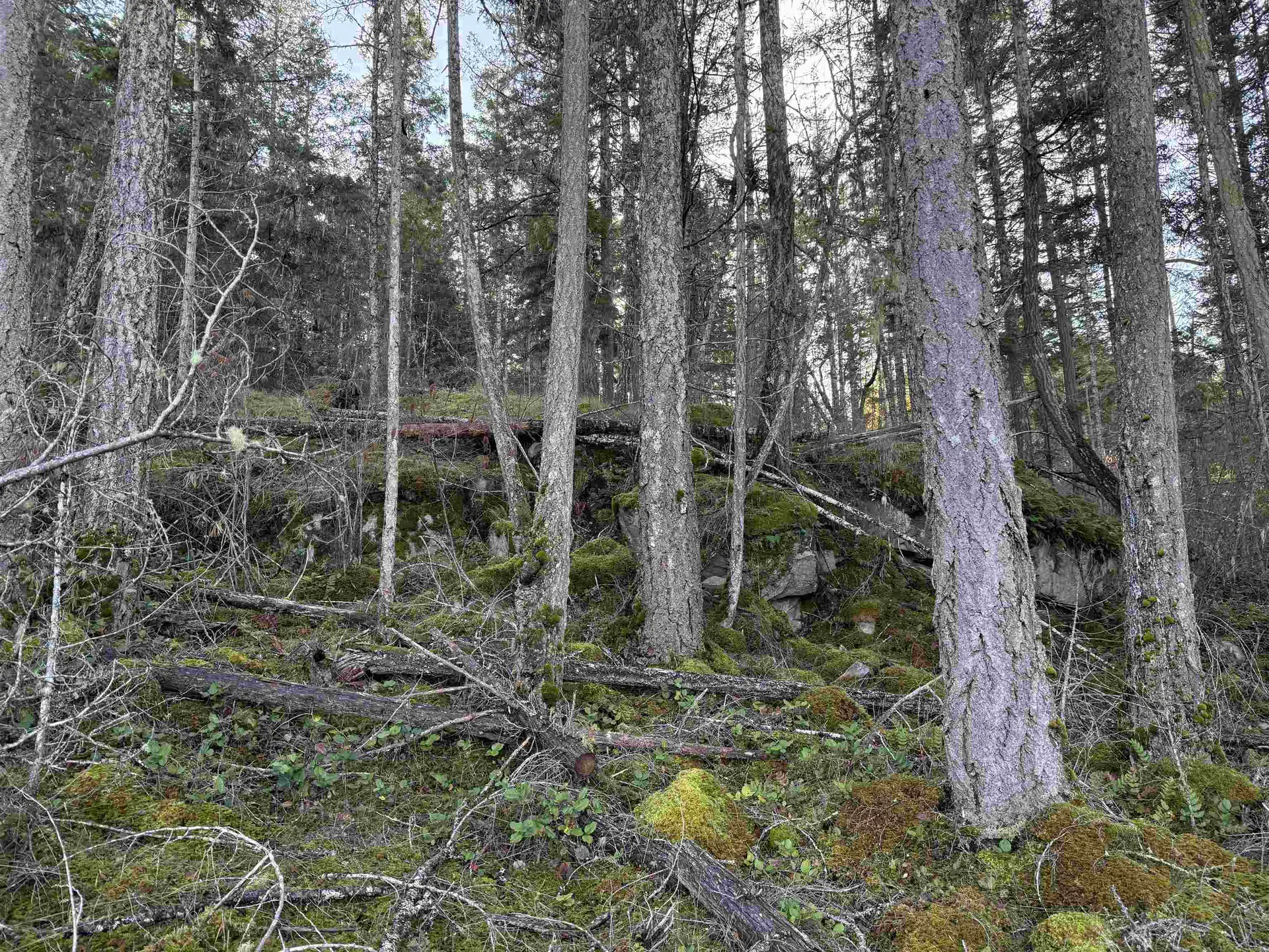 Property at LOT B FRANCIS PENINSULA ROAD, Madeira Park, BC