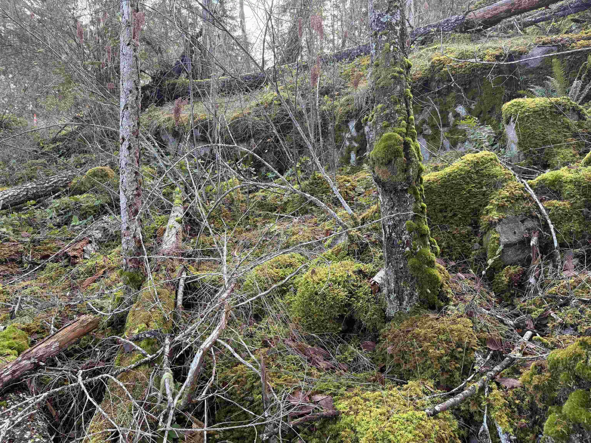 Property at LOT B FRANCIS PENINSULA ROAD, Madeira Park, BC