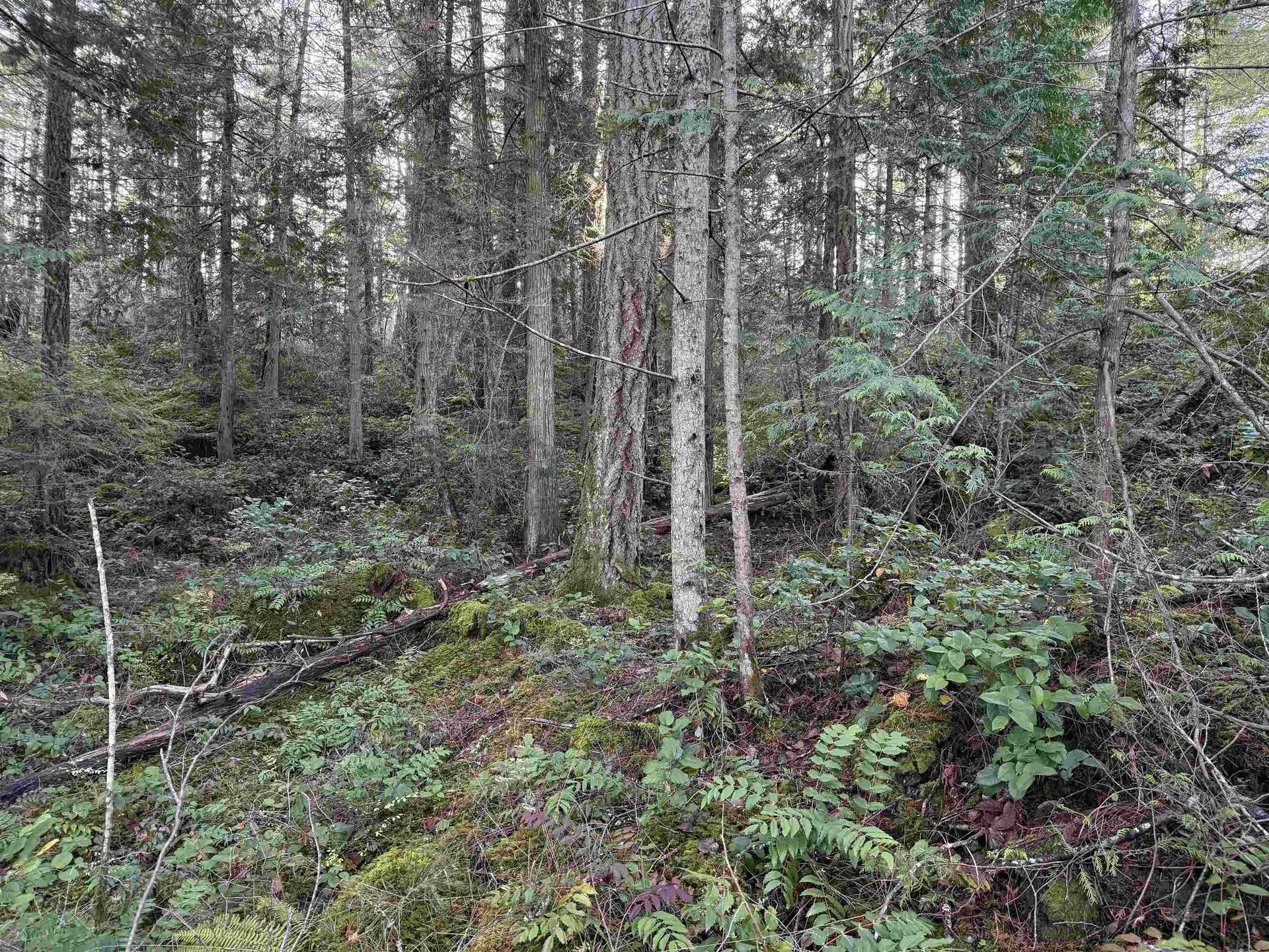 Property at LOT B FRANCIS PENINSULA ROAD, Madeira Park, BC