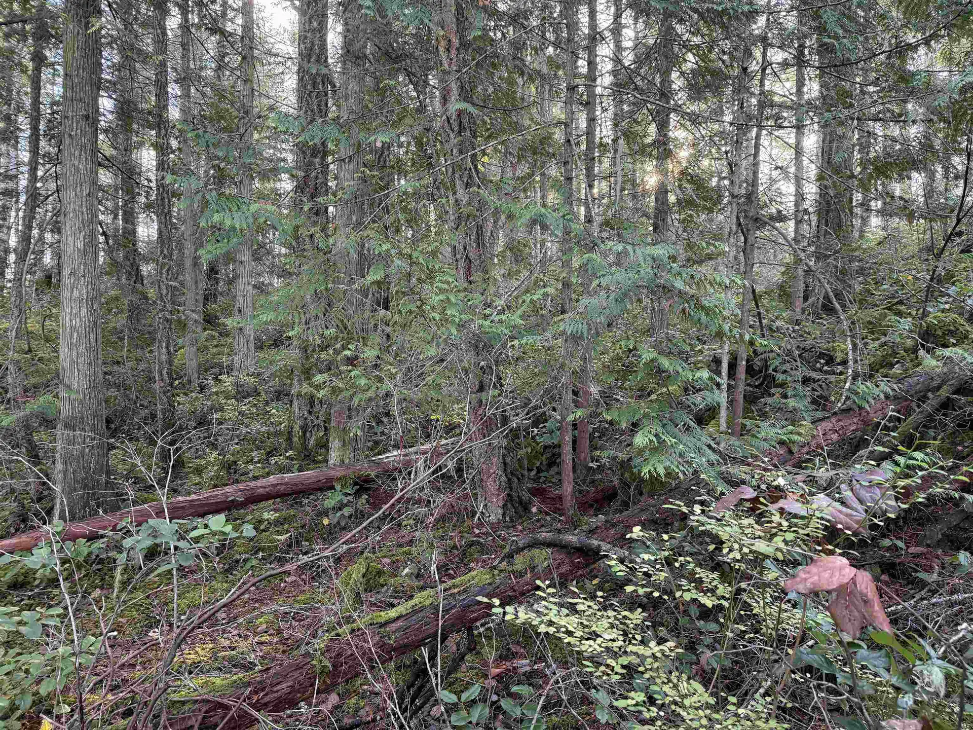 Property at LOT B FRANCIS PENINSULA ROAD, Madeira Park, BC