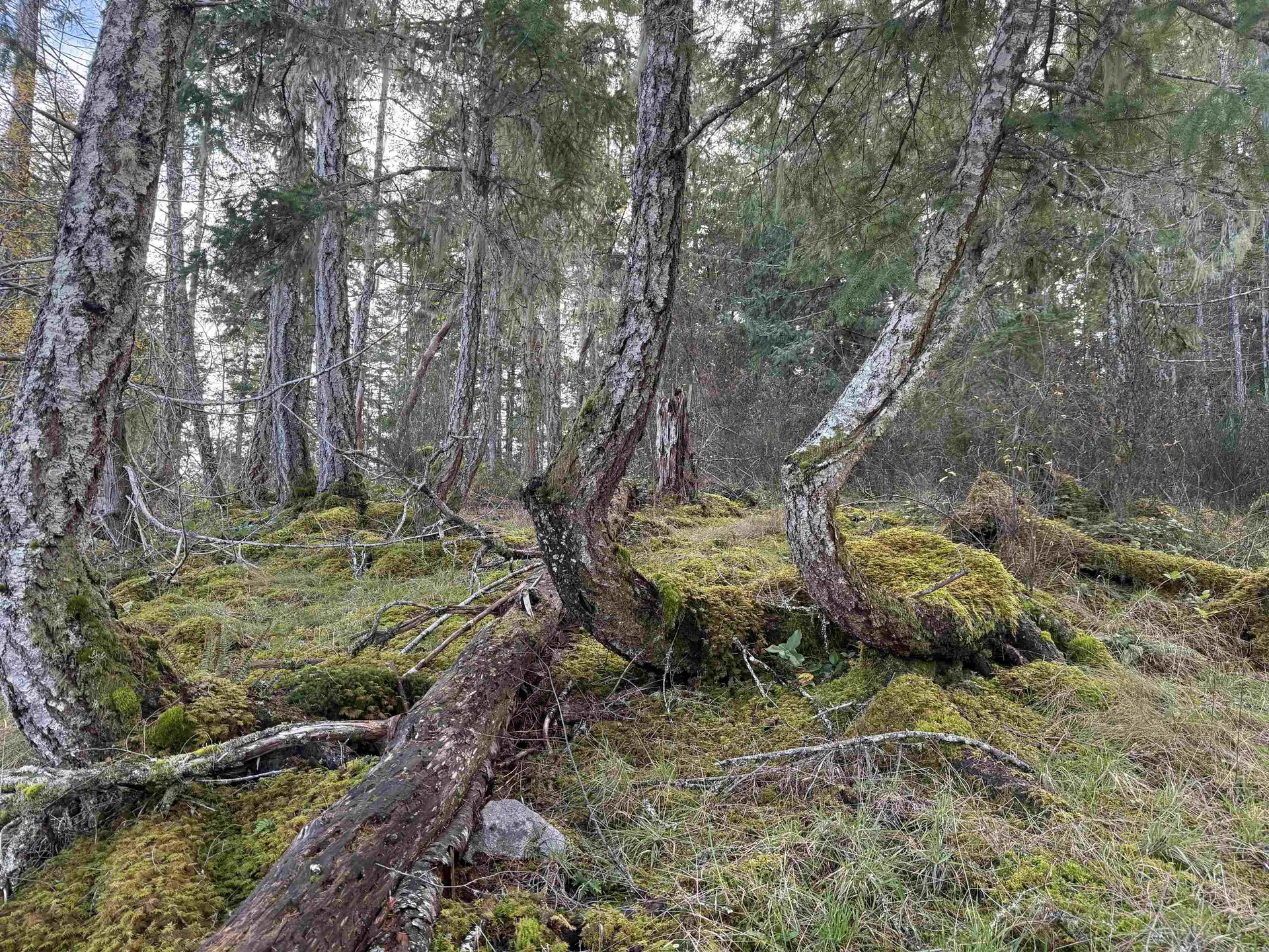 Property at LOT B FRANCIS PENINSULA ROAD, Madeira Park, BC