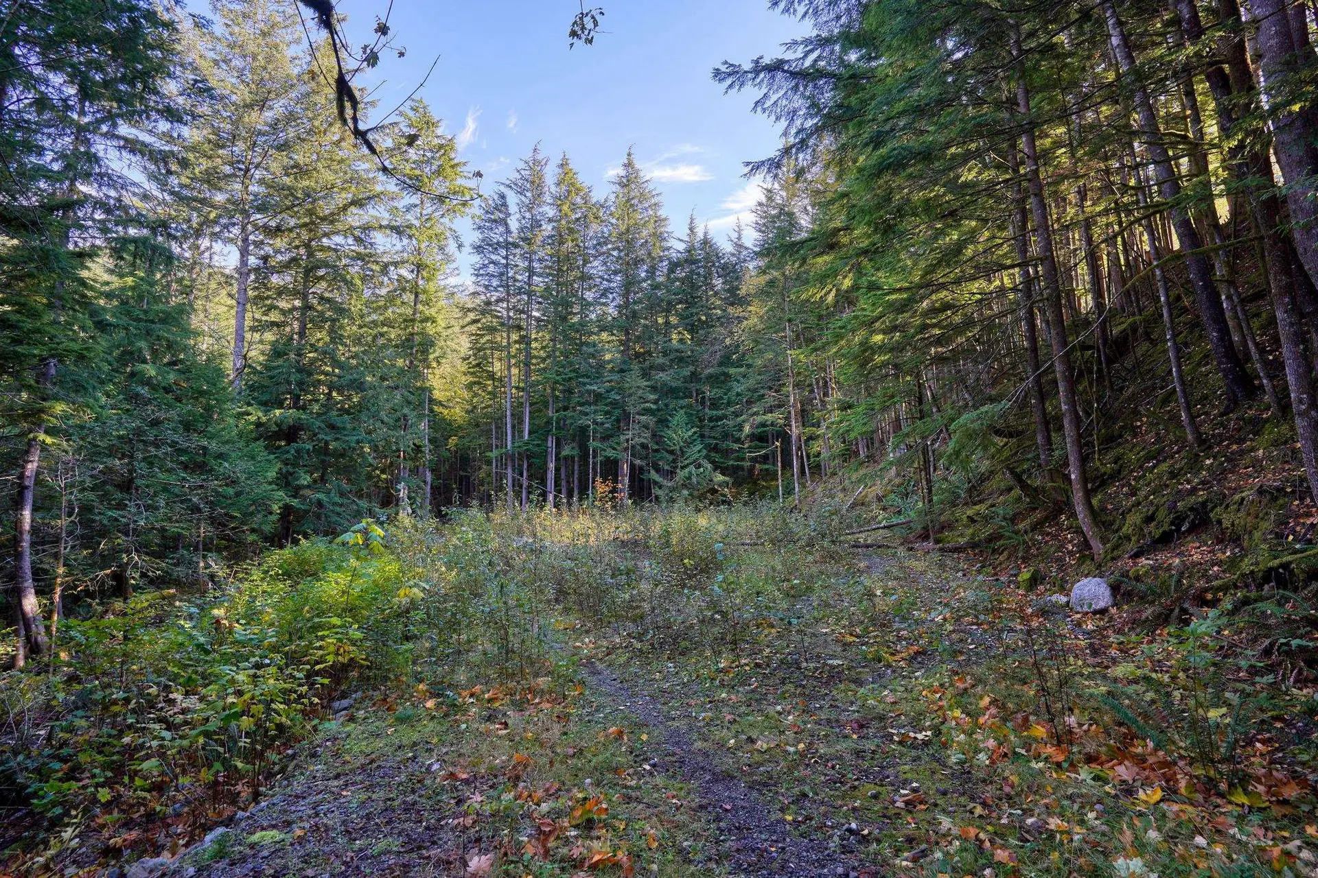 Property at 1017 COPPER DRIVE, Britannia Beach, BC