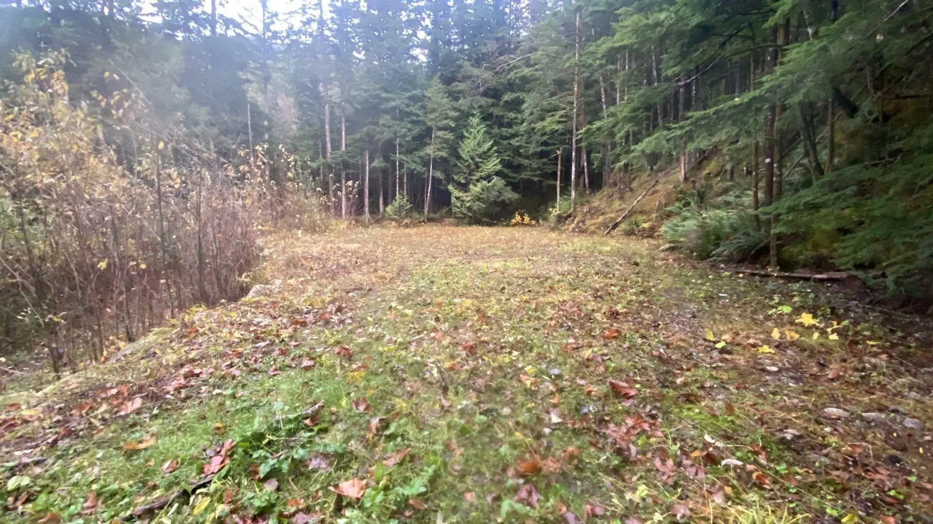 Property at 1017 COPPER DRIVE, Britannia Beach, BC