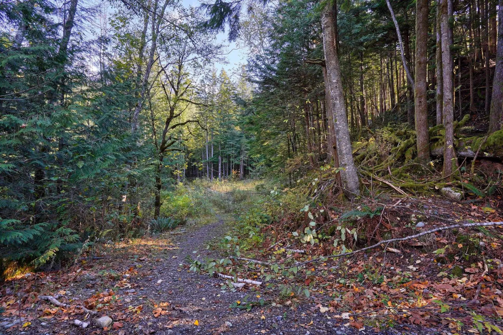 Property at 1017 COPPER DRIVE, Britannia Beach, BC