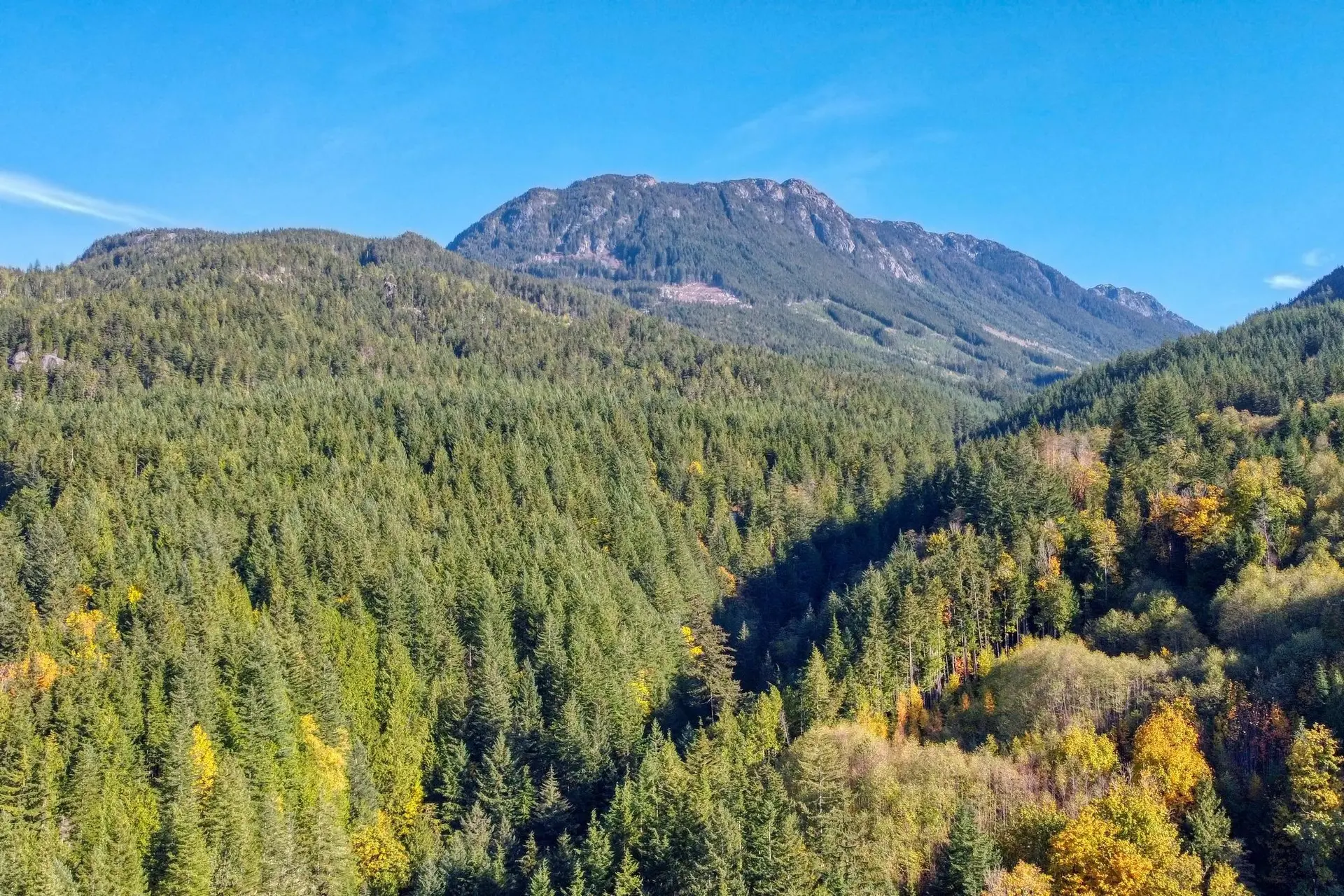 Property at 1017 COPPER DRIVE, Britannia Beach, BC