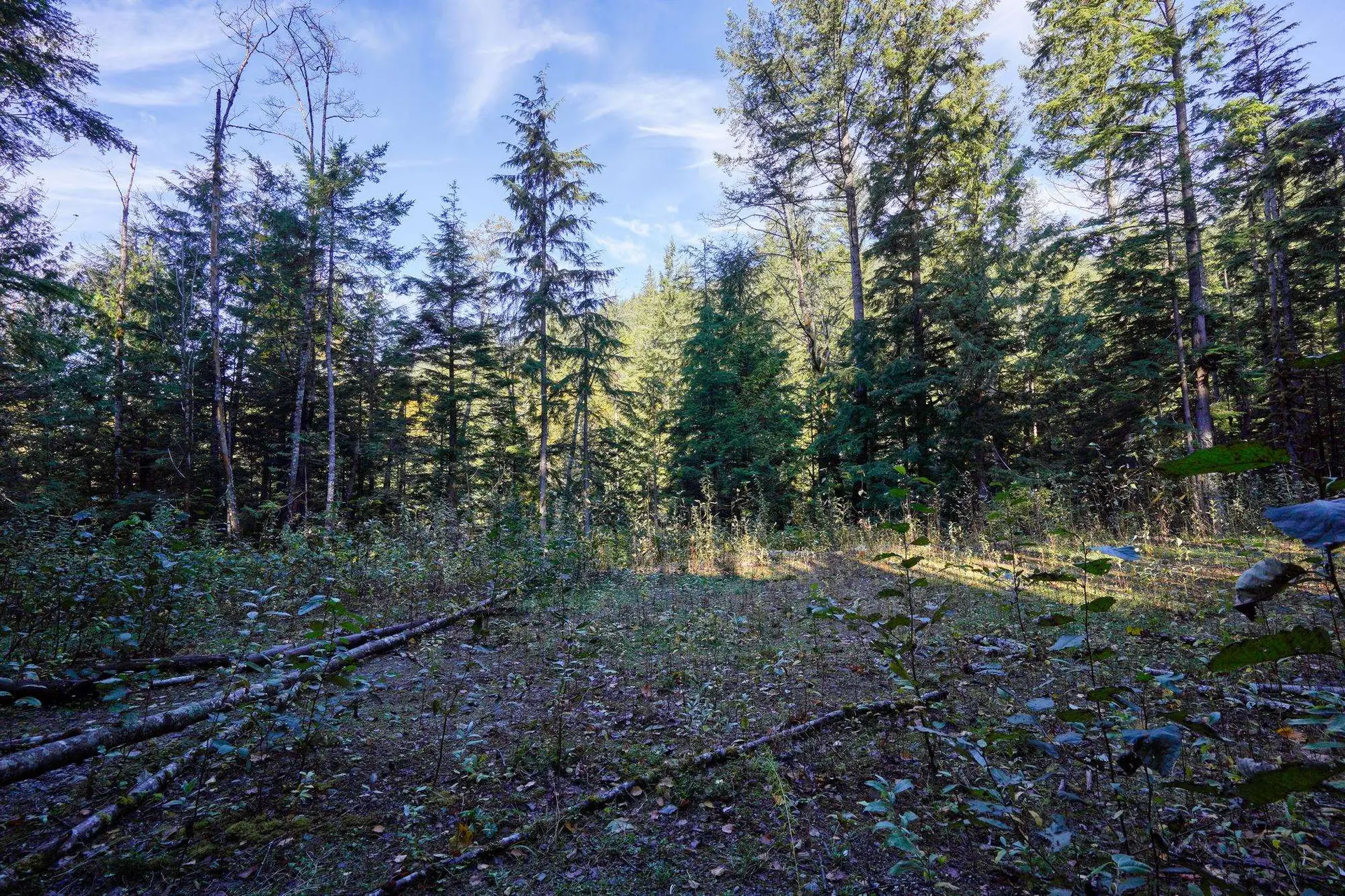 Property at 1017 COPPER DRIVE, Britannia Beach, BC