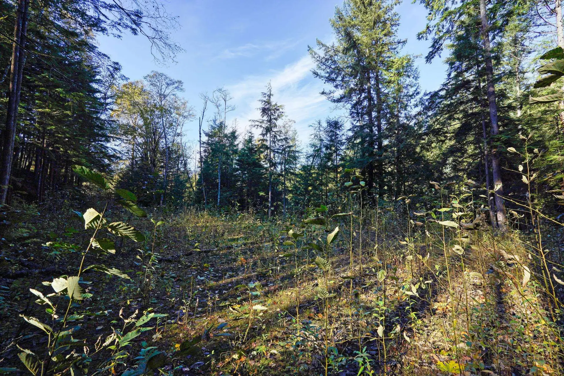 Property at 1017 COPPER DRIVE, Britannia Beach, BC