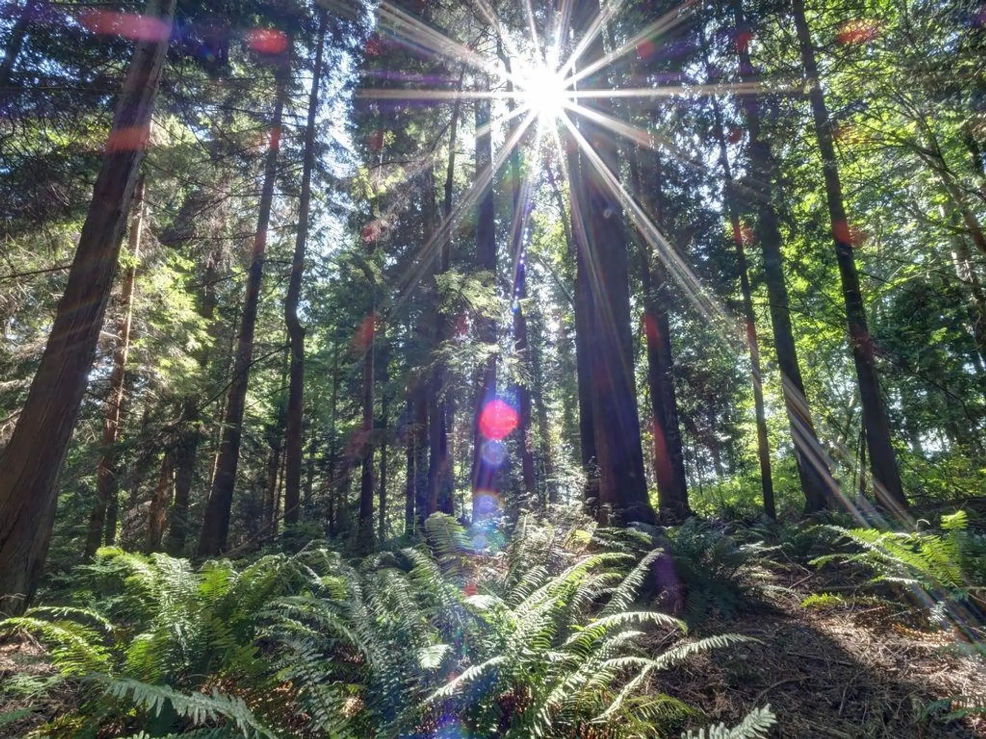 Property at LOT 5 GOWER POINT ROAD, Gibsons, BC