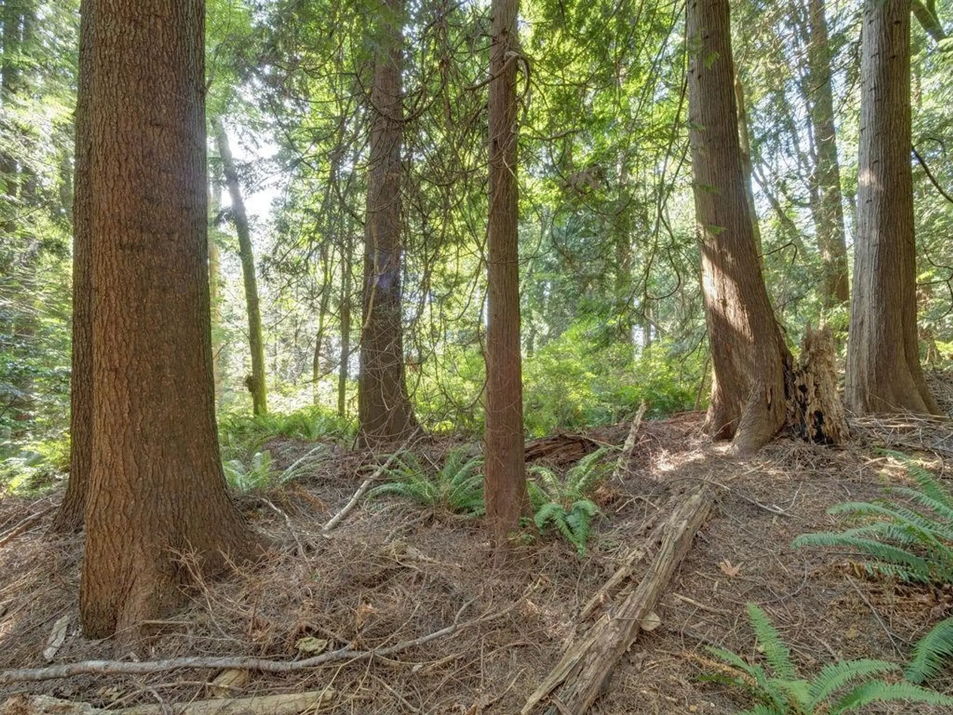 Property at LOT 5 GOWER POINT ROAD, Gibsons, BC