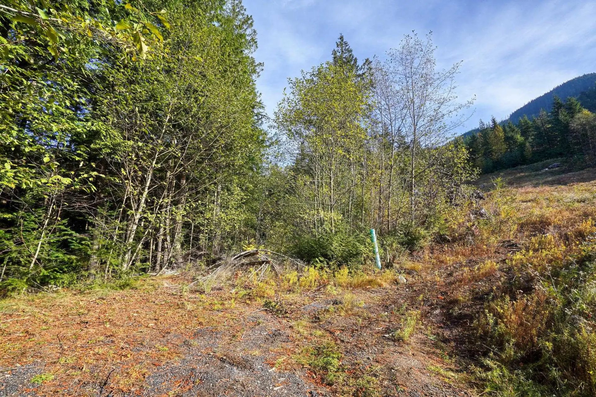 Property at 1125 COPPER DRIVE, Britannia Beach, BC