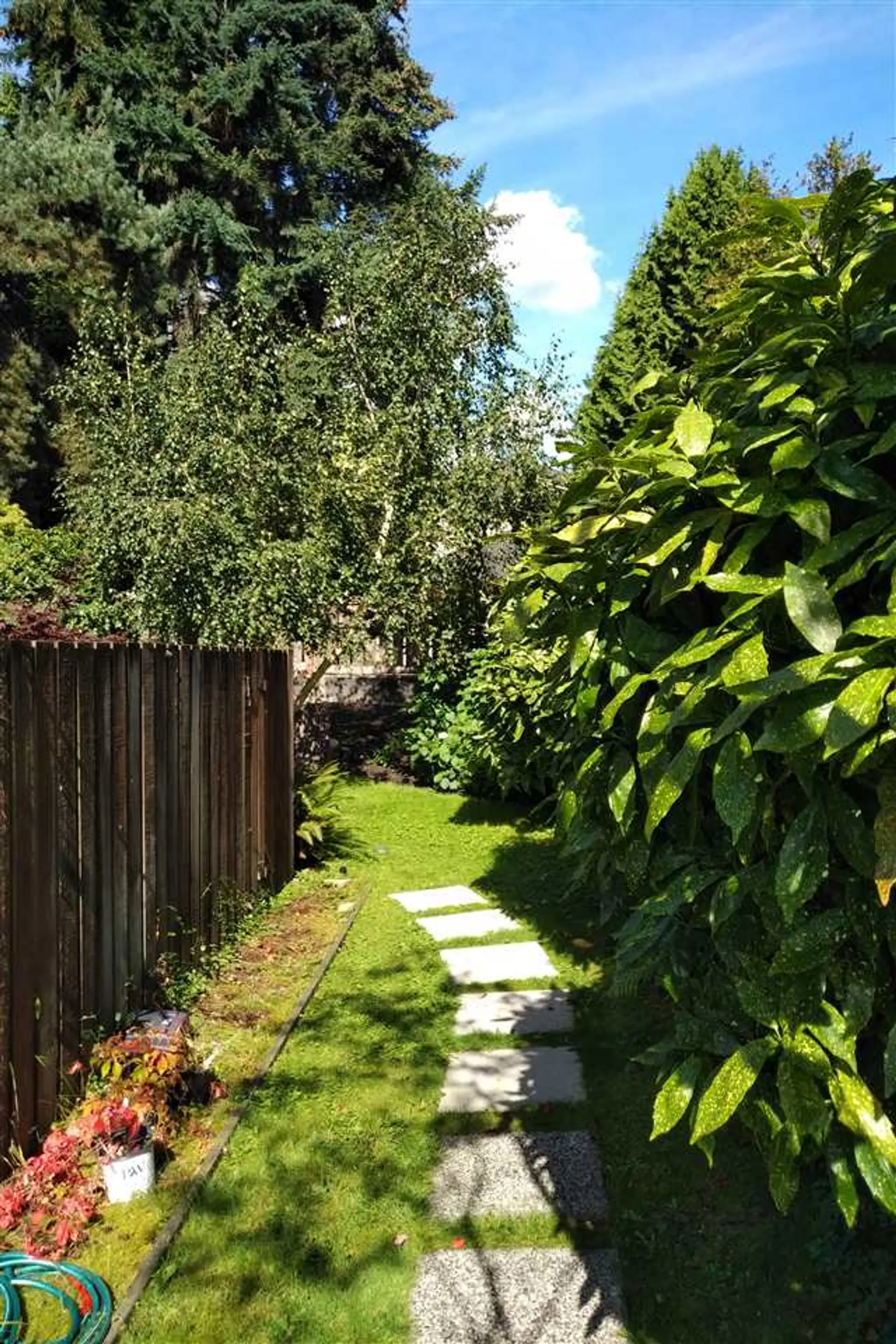 #106 1745 Esquimalt Avenue - Image 15