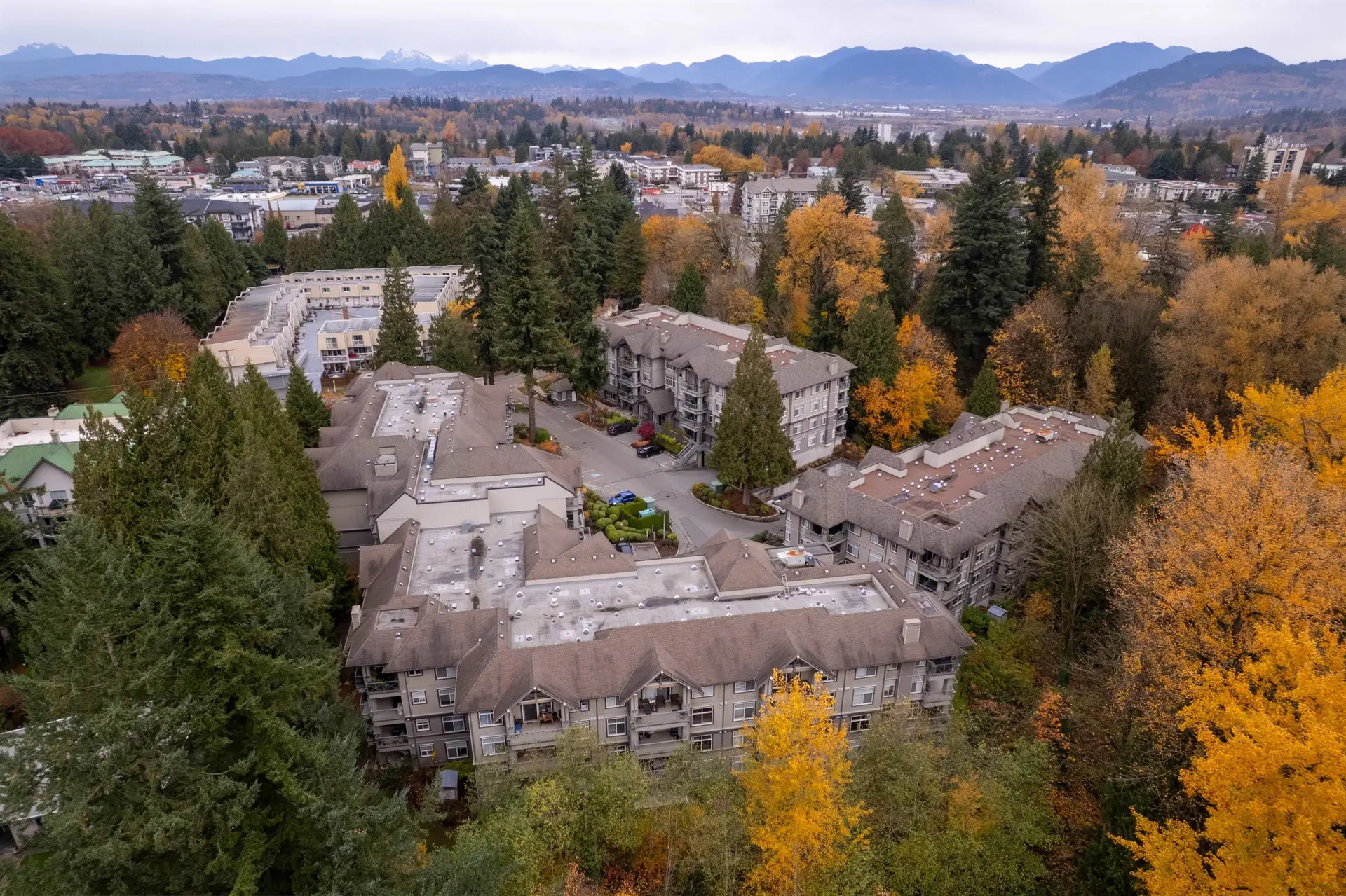 #306 33318 Bourquin Crescent - Image 16