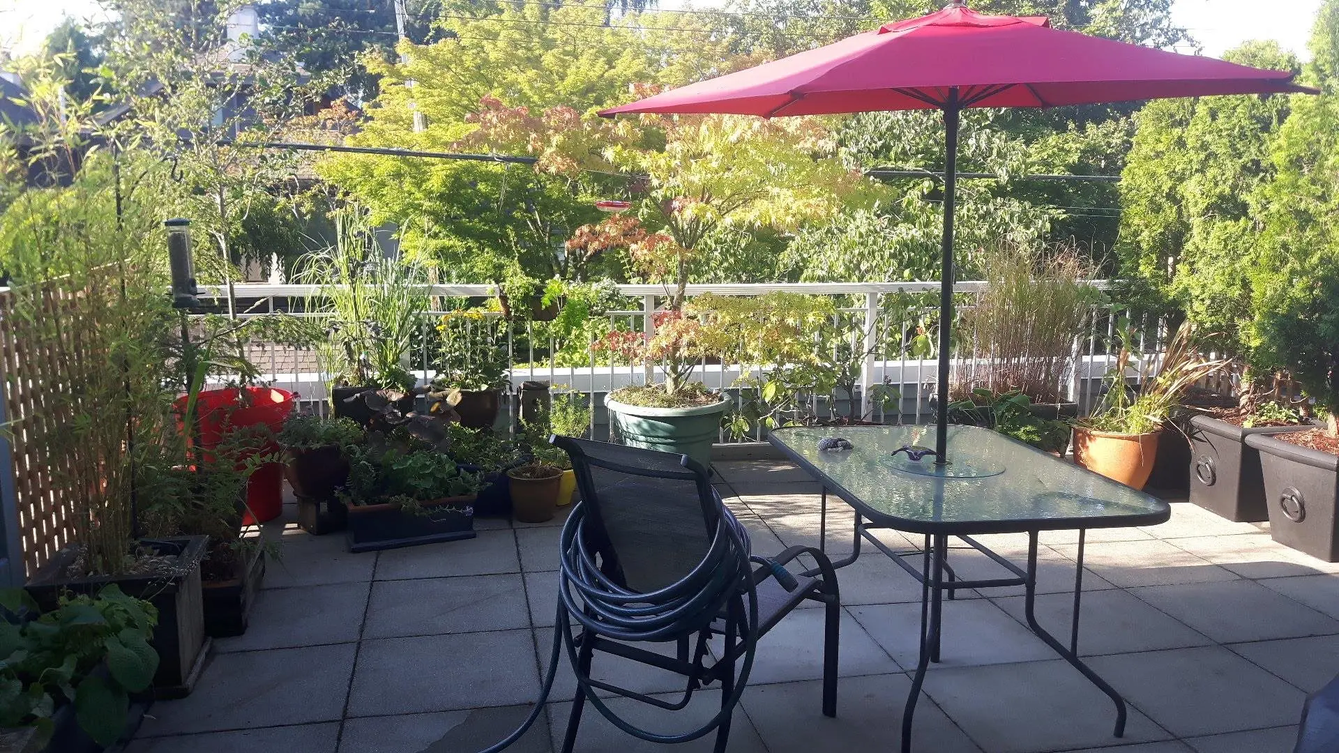 #209 3333 W 4th Avenue - Image 16