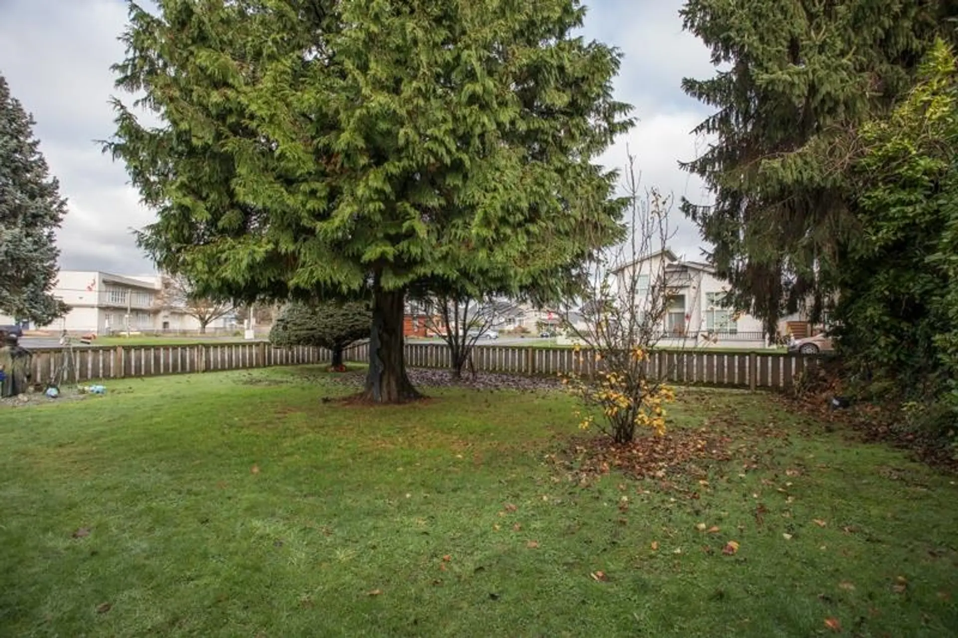 1700 Wellington Crescent - Image 5