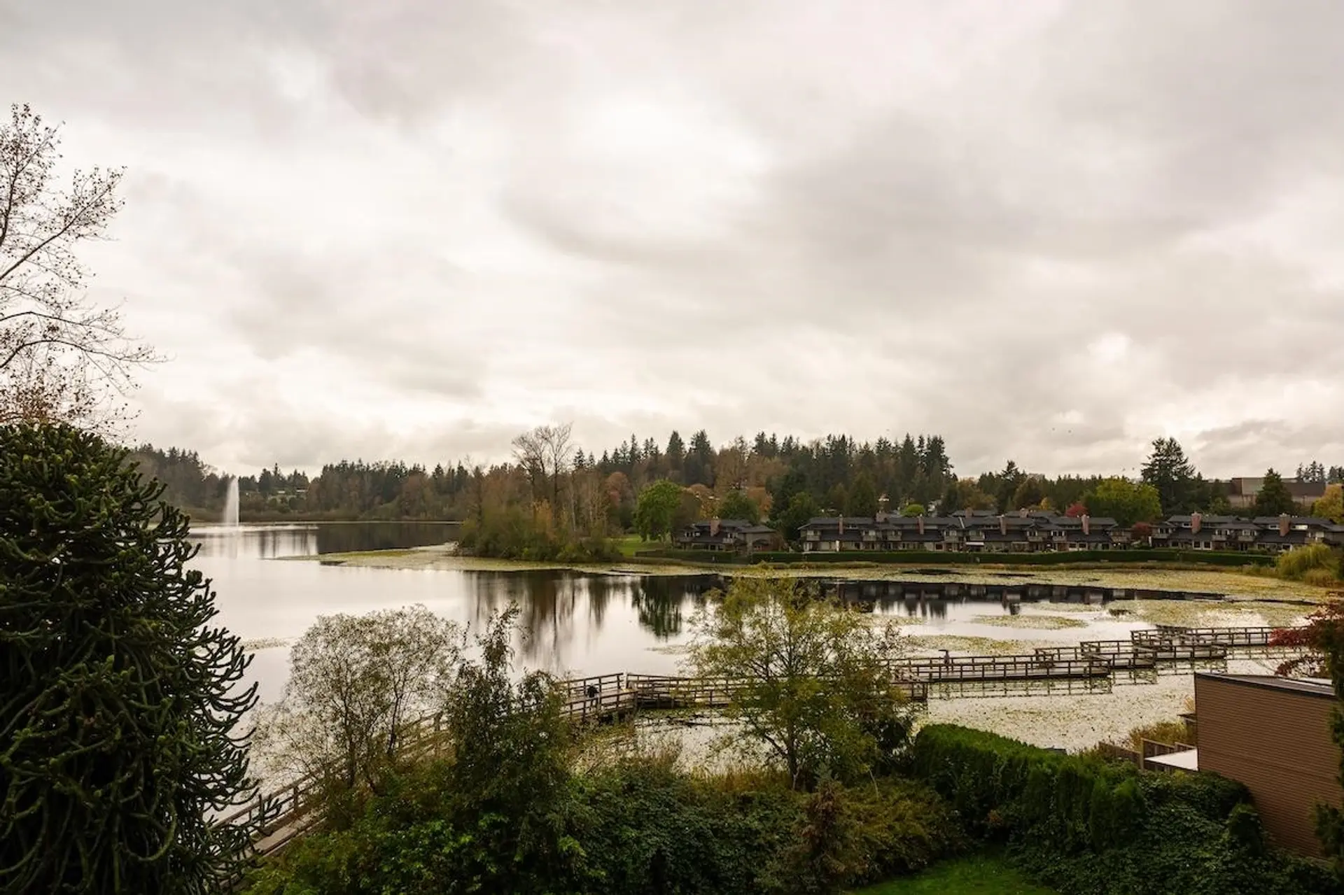 #203 33160 Plaxton Crescent - Image 8