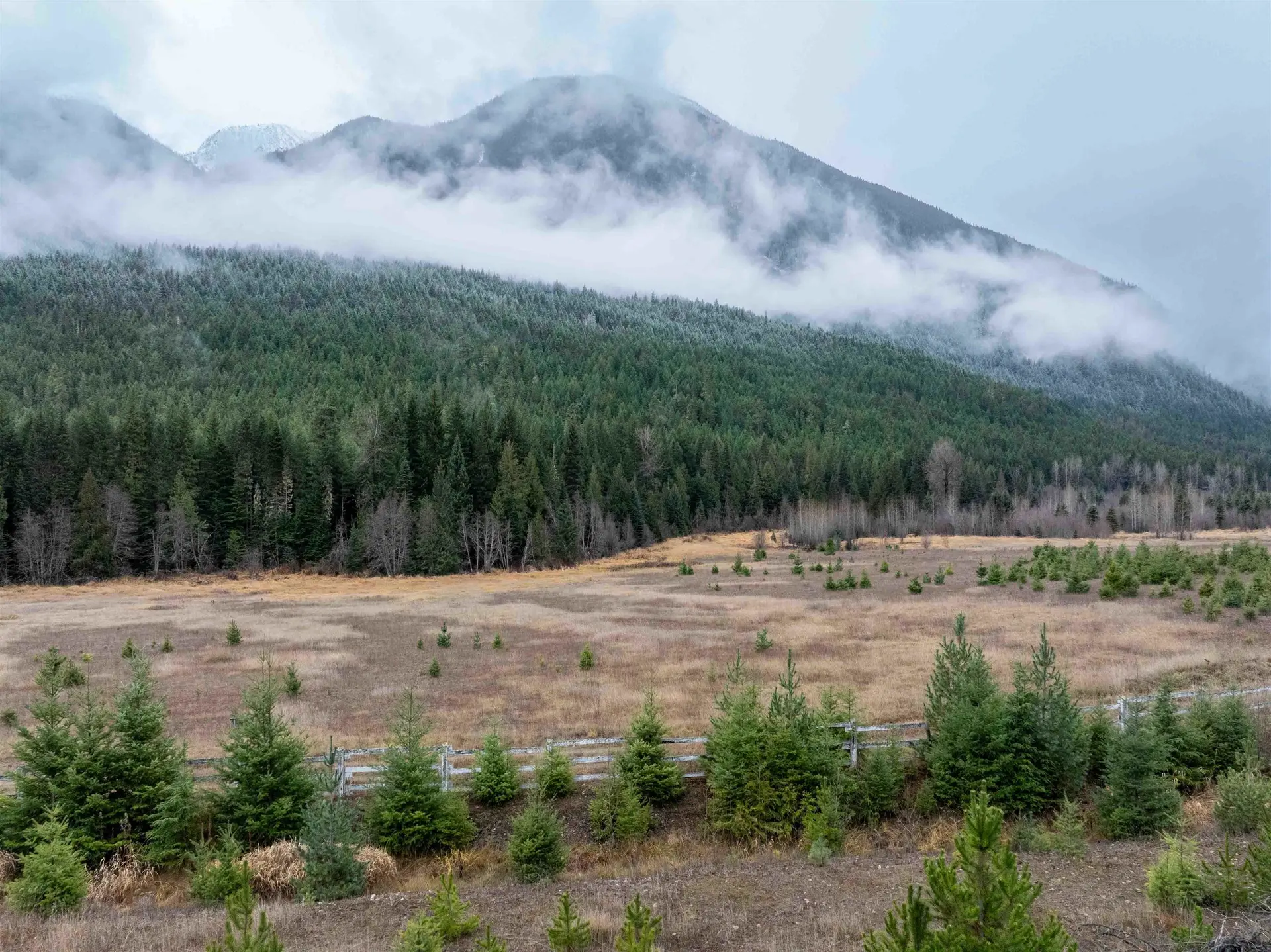 Property at 2690 BLACKWATER ROAD, D'Arcy, BC