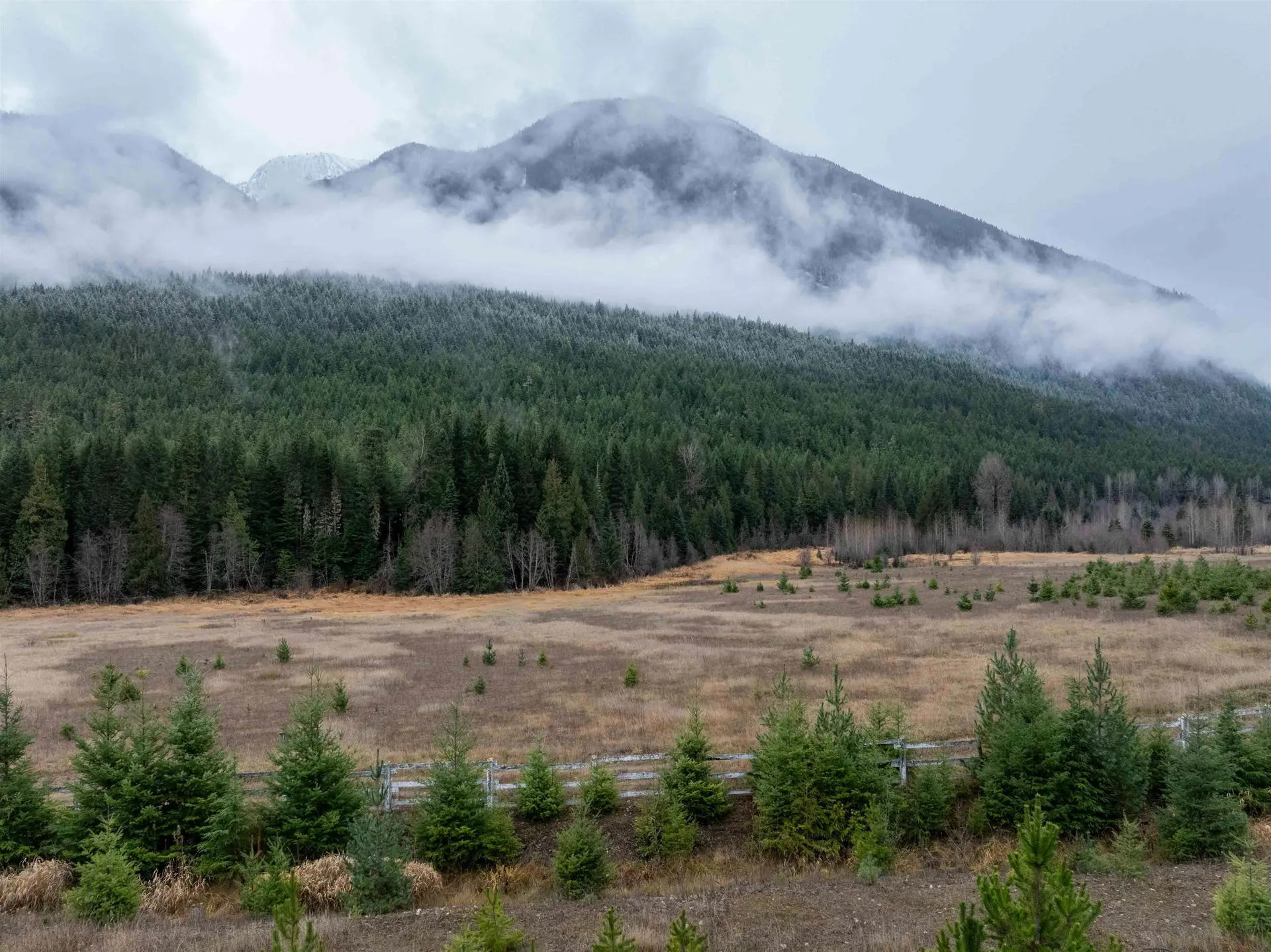 Property at 2690 BLACKWATER ROAD, D'Arcy, BC