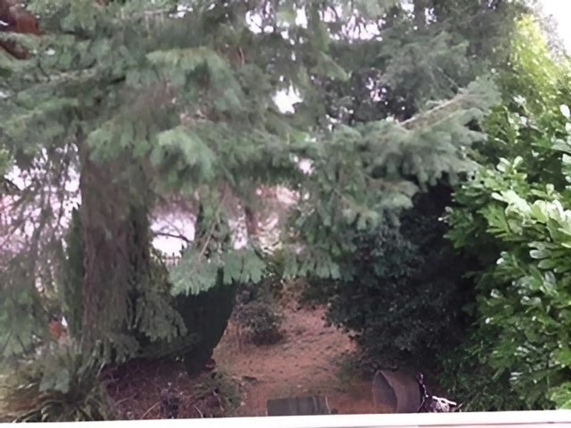 Property at 8479 SELKIRK STREET, Vancouver, BC