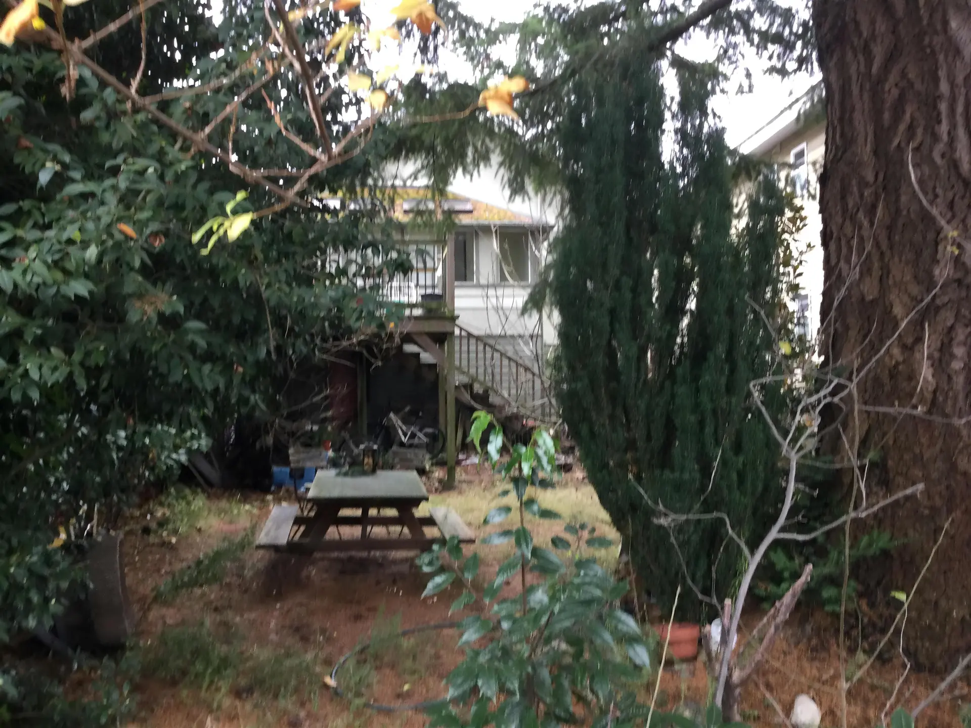 Property at 8479 SELKIRK STREET, Vancouver, BC