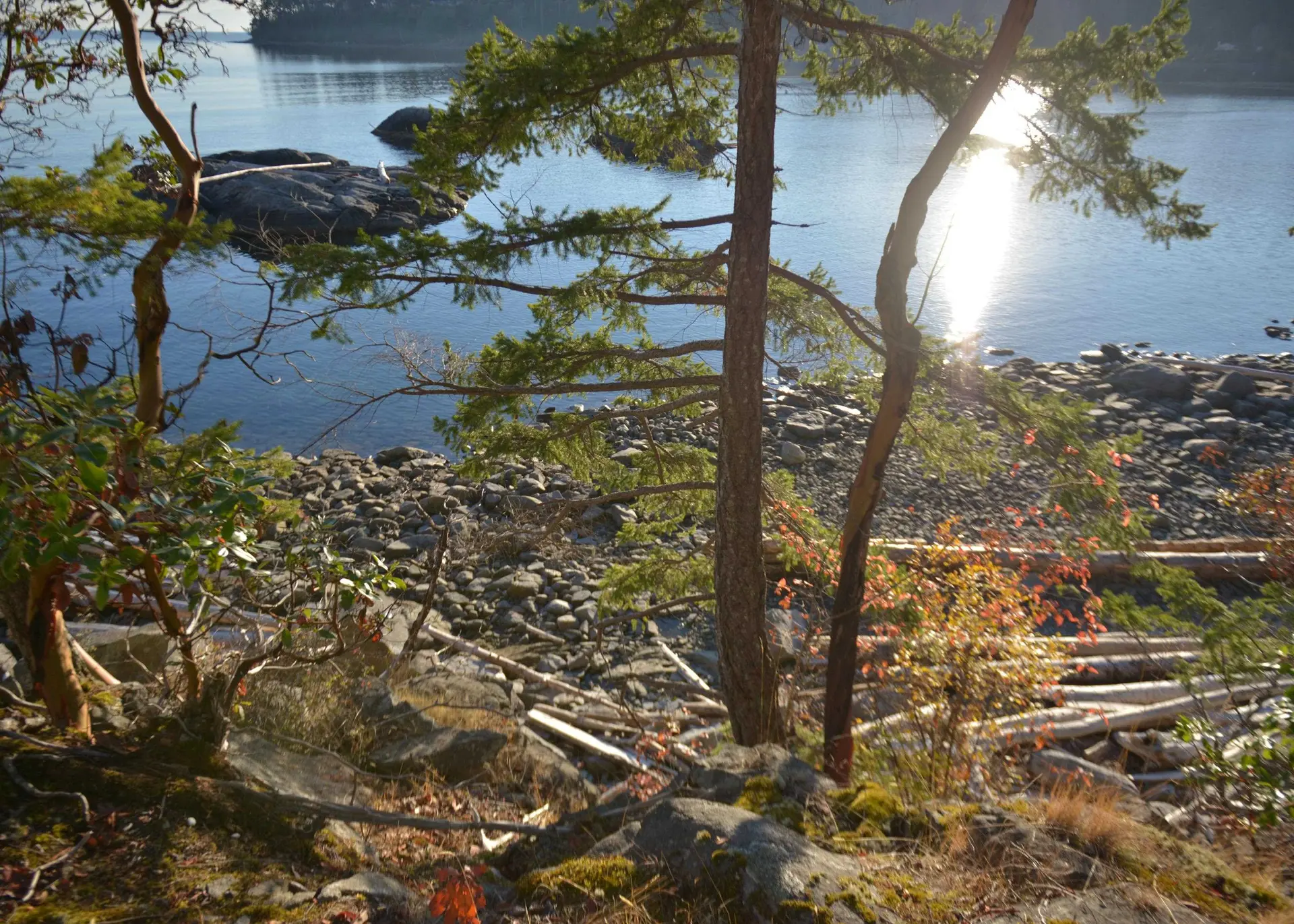 Property at 7643 COVE BEACH ROAD, Halfmoon Bay, BC