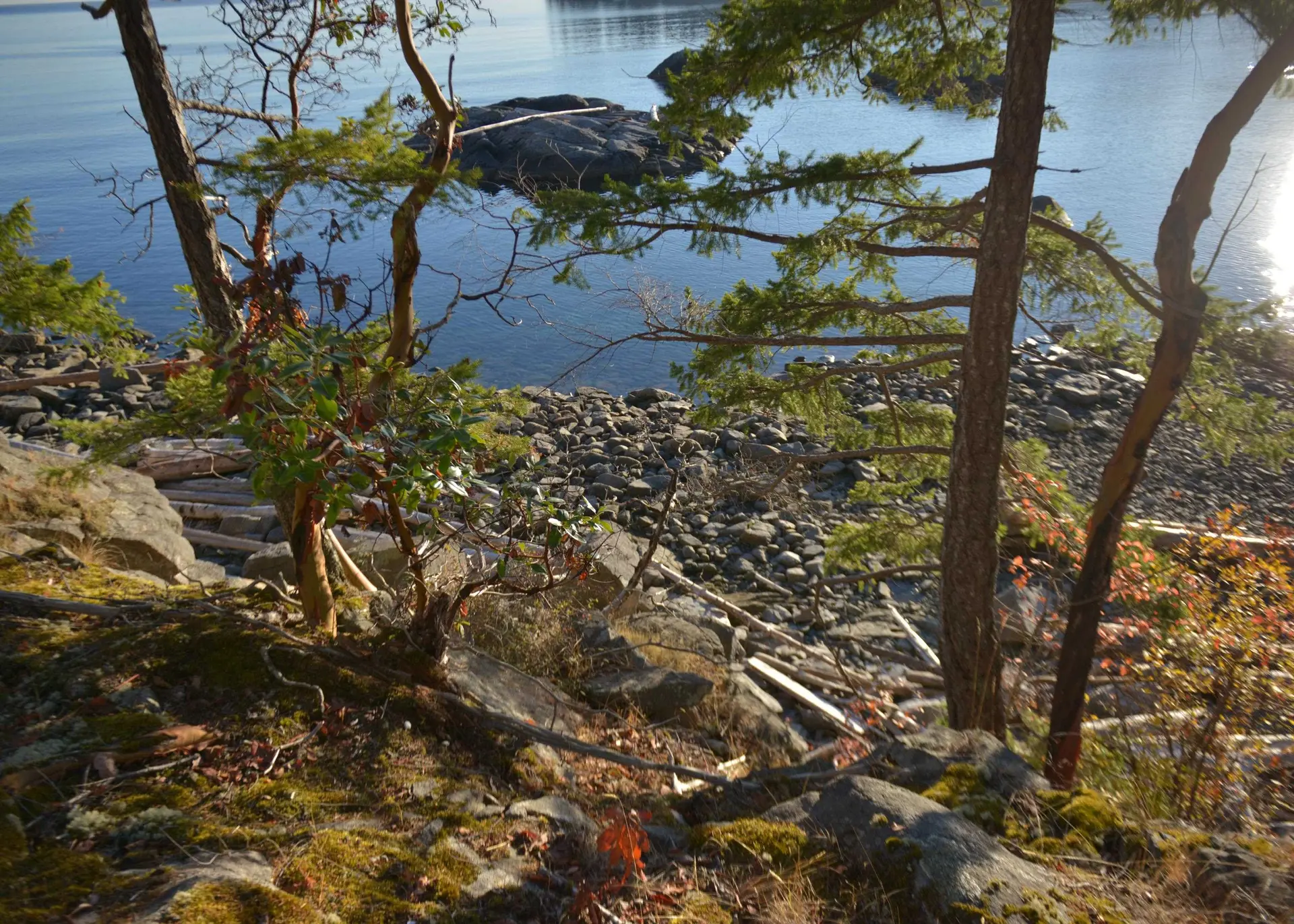 Property at 7643 COVE BEACH ROAD, Halfmoon Bay, BC