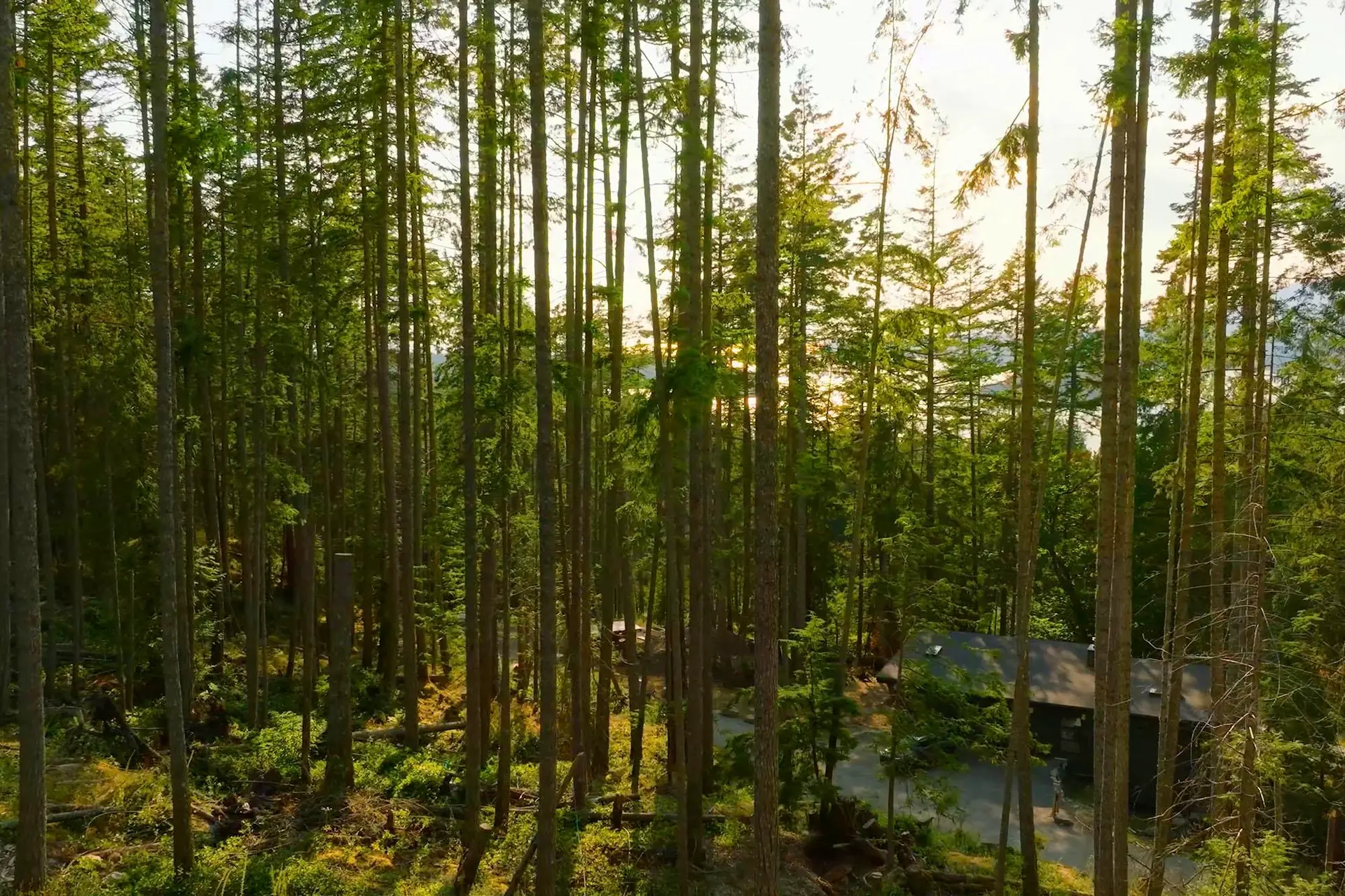 Property at 786 HAYES ROAD, Bowen Island, BC