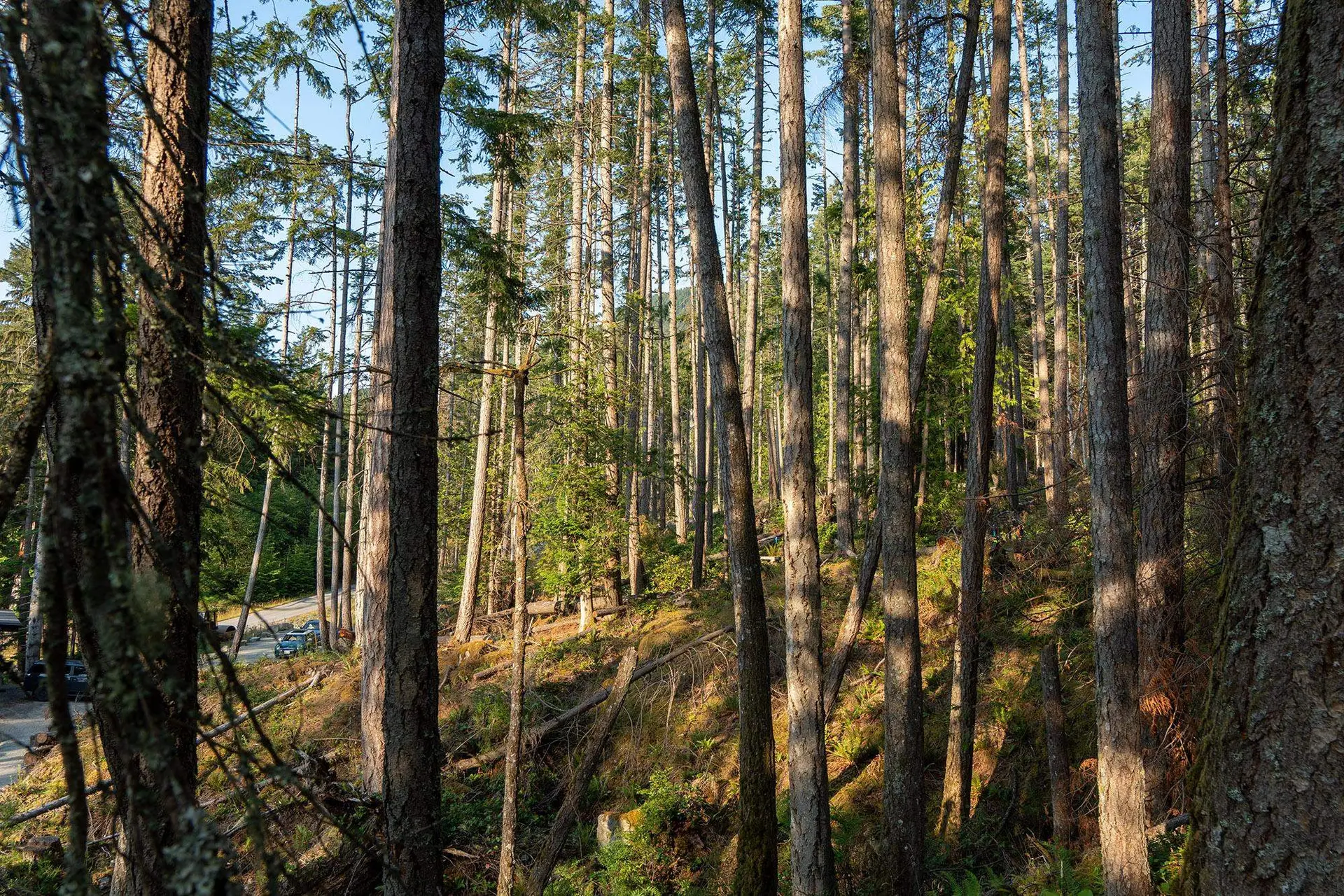 Property at 786 HAYES ROAD, Bowen Island, BC