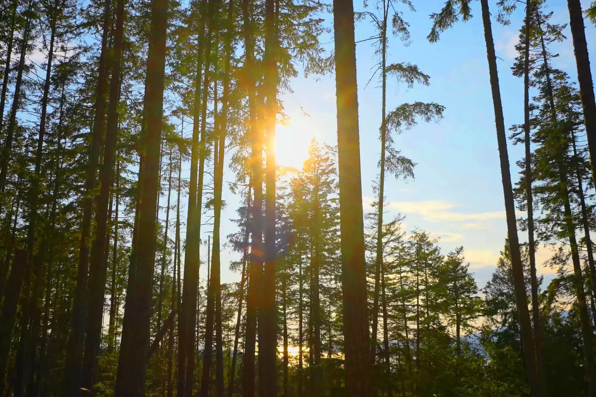 Property at 786 HAYES ROAD, Bowen Island, BC