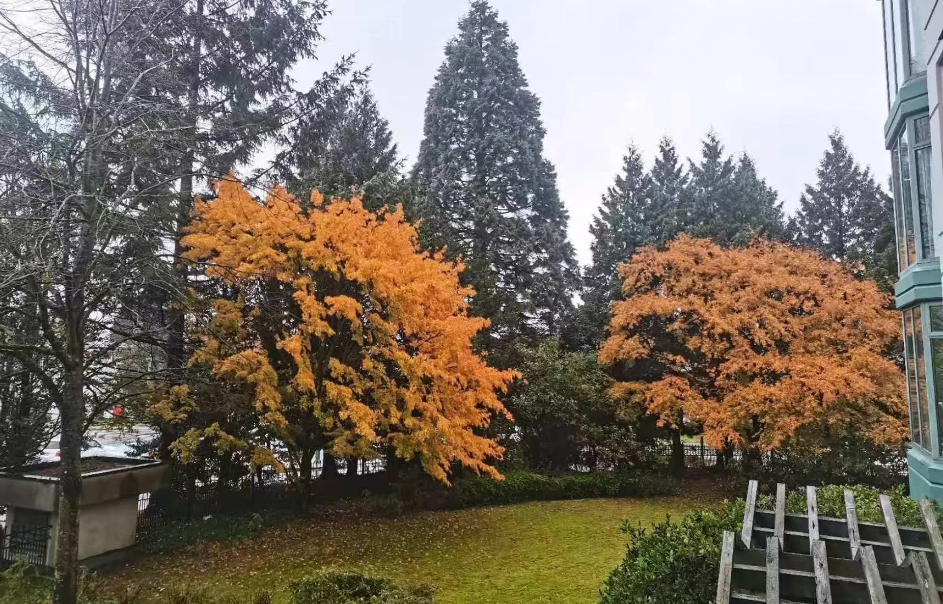 Property at #206 4505 HAZEL STREET, Burnaby, BC