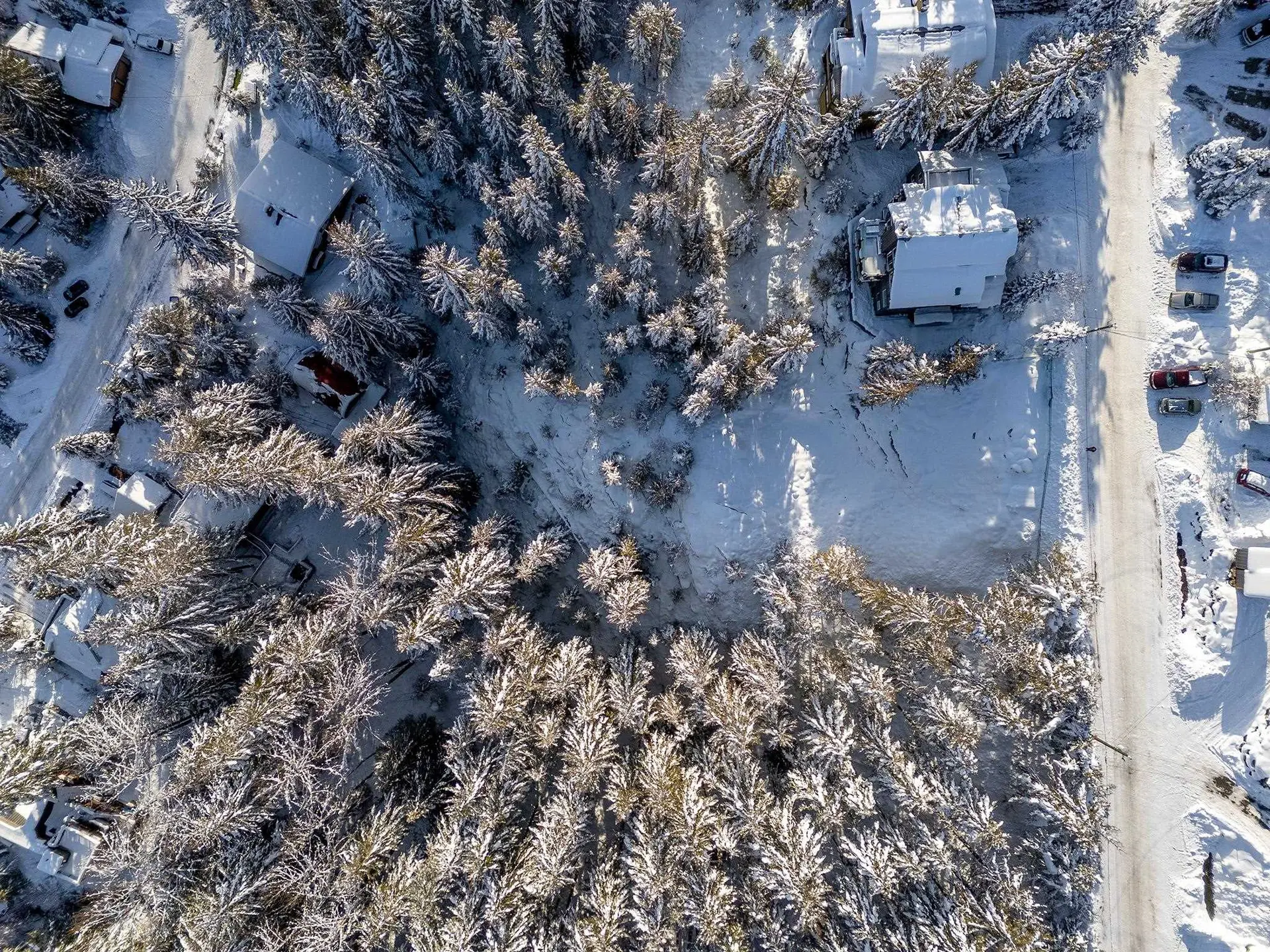 Property at 8377 MOUNTAIN VIEW DRIVE, Whistler, BC