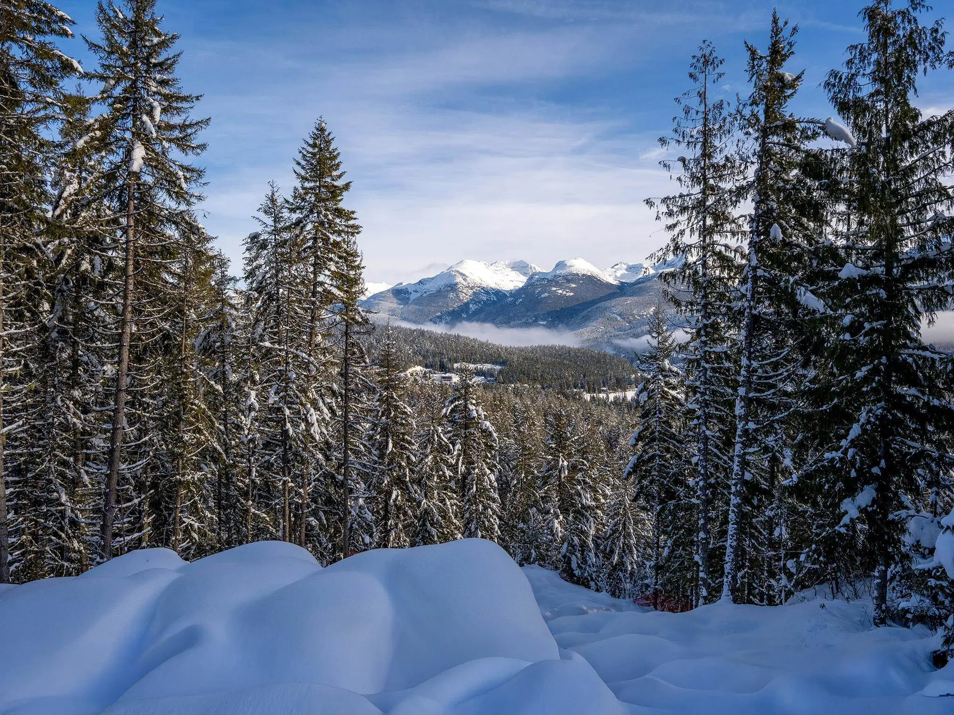 Property at 8377 MOUNTAIN VIEW DRIVE, Whistler, BC