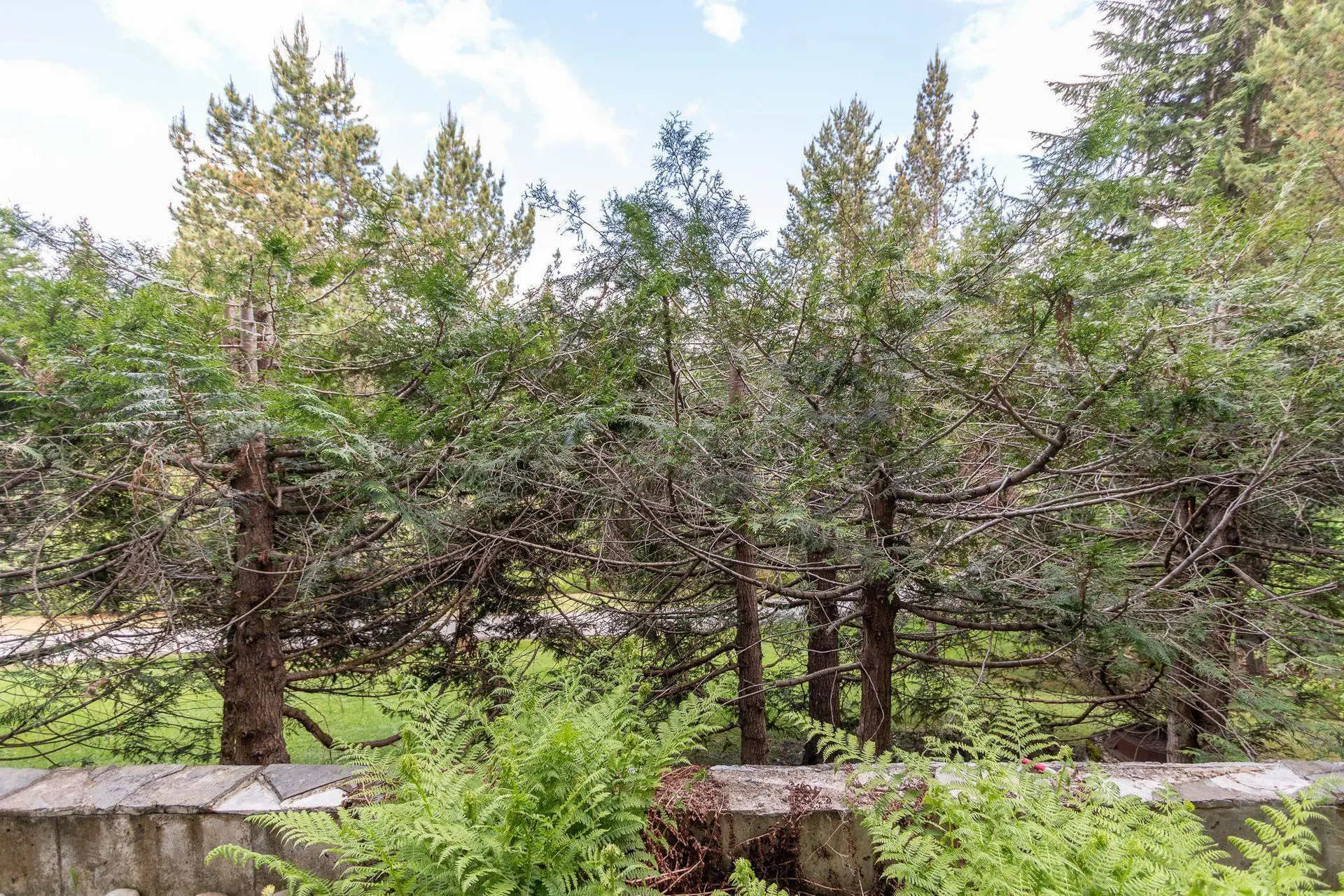 Property at #105 4910 SPEARHEAD PLACE, Whistler, BC