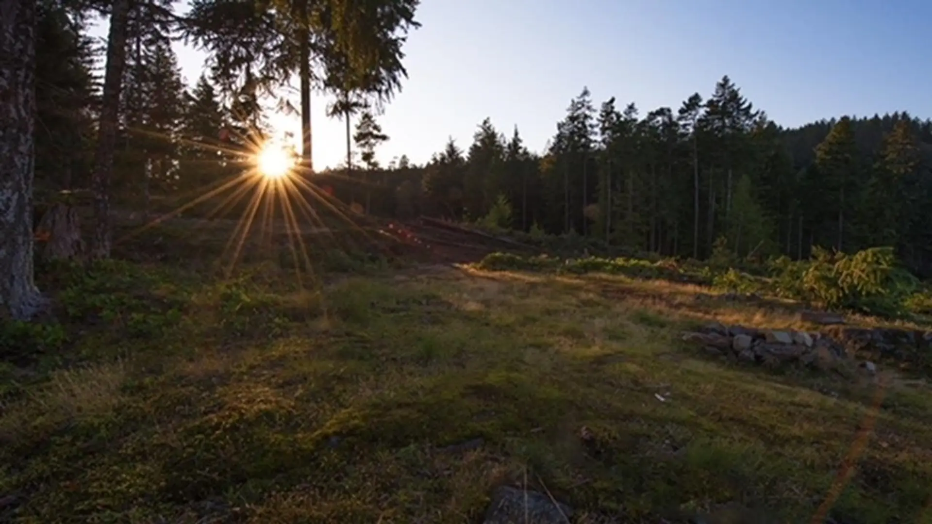 Property at 150 SKYWATER LANE, Salt Spring Island, BC