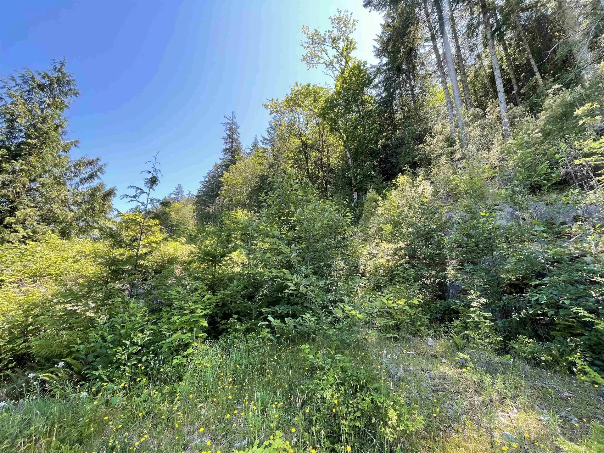 Property at 5232 CECIL HILL ROAD, Madeira Park, BC