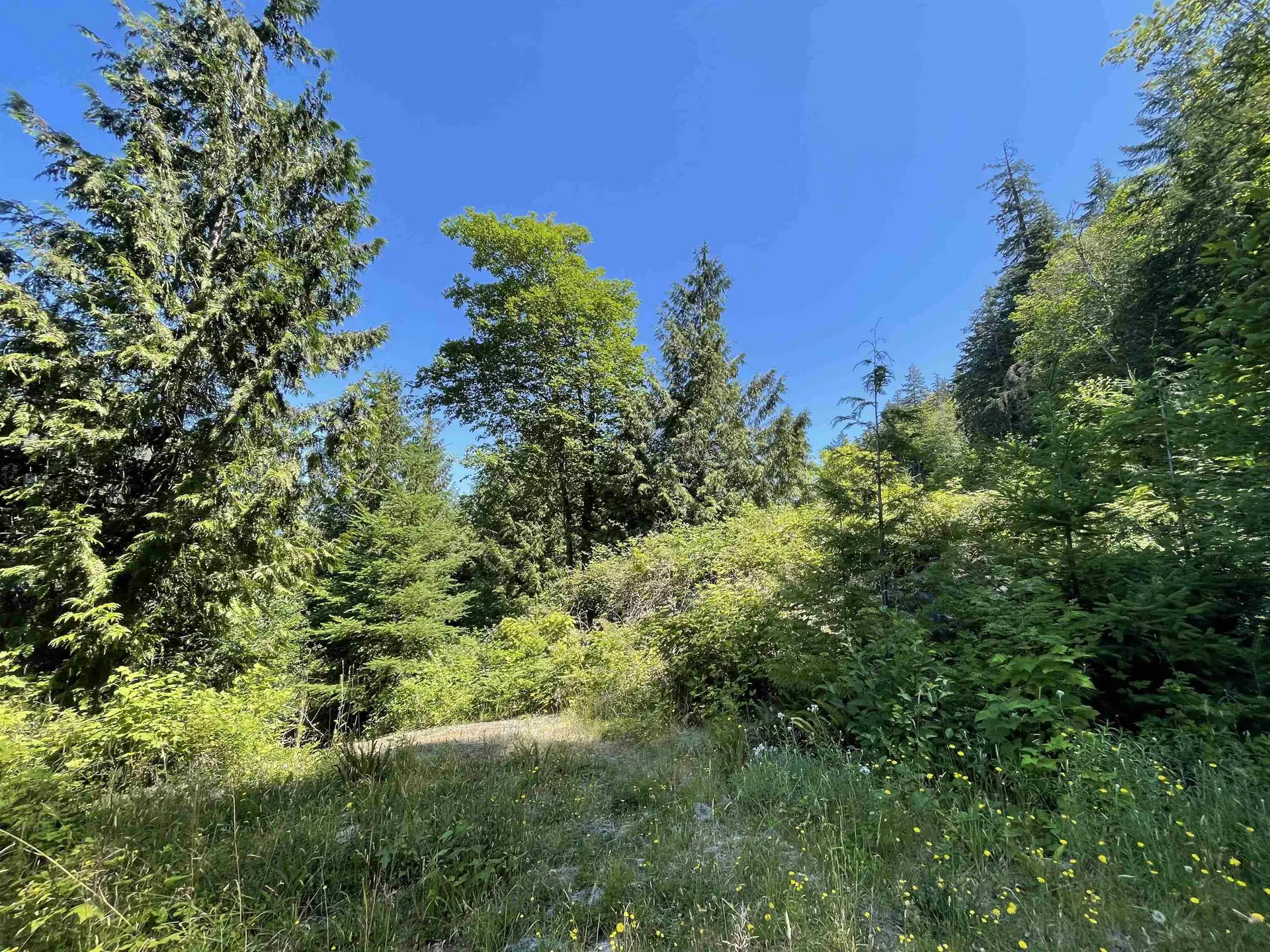 Property at 5232 CECIL HILL ROAD, Madeira Park, BC