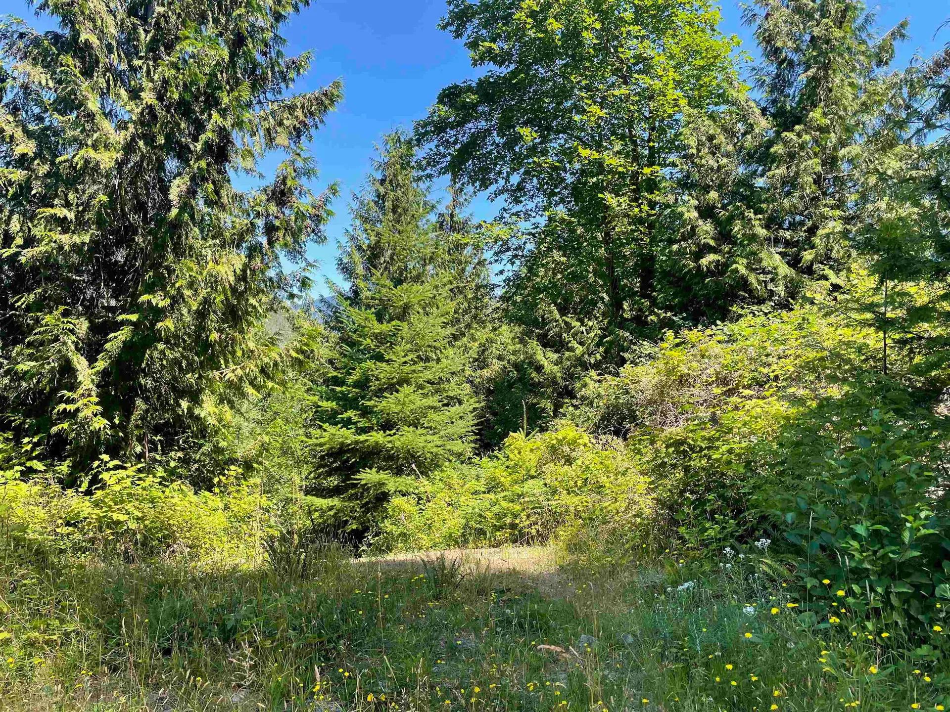 Property at 5232 CECIL HILL ROAD, Madeira Park, BC