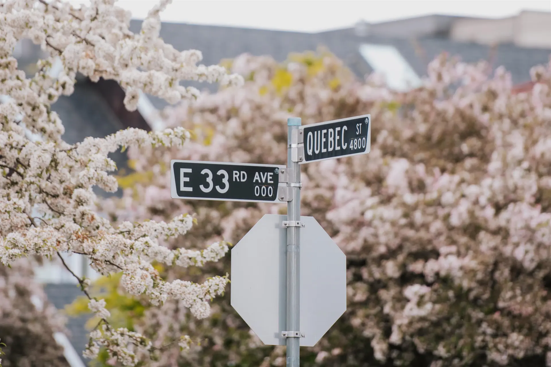 #212 4928 Quebec Street - Image 8