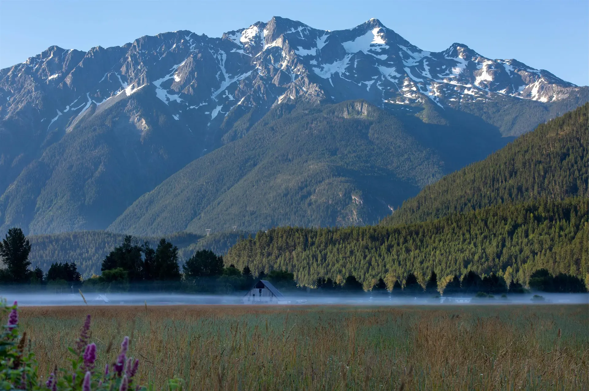 Property at 7631 PEMBERTON MEADOWS ROAD, Pemberton, BC