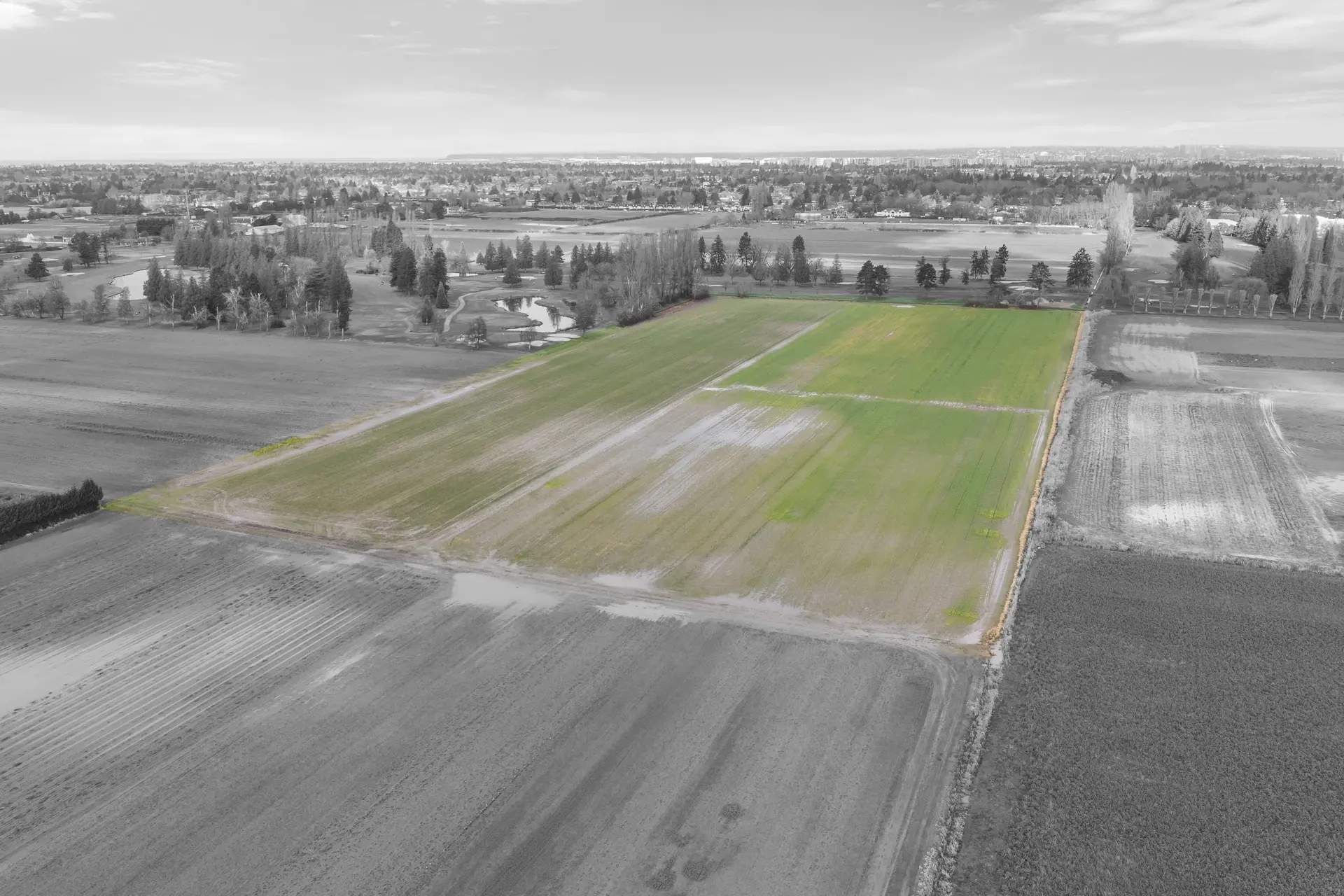 Property at 12371 GARDEN CITY ROAD, Richmond, BC