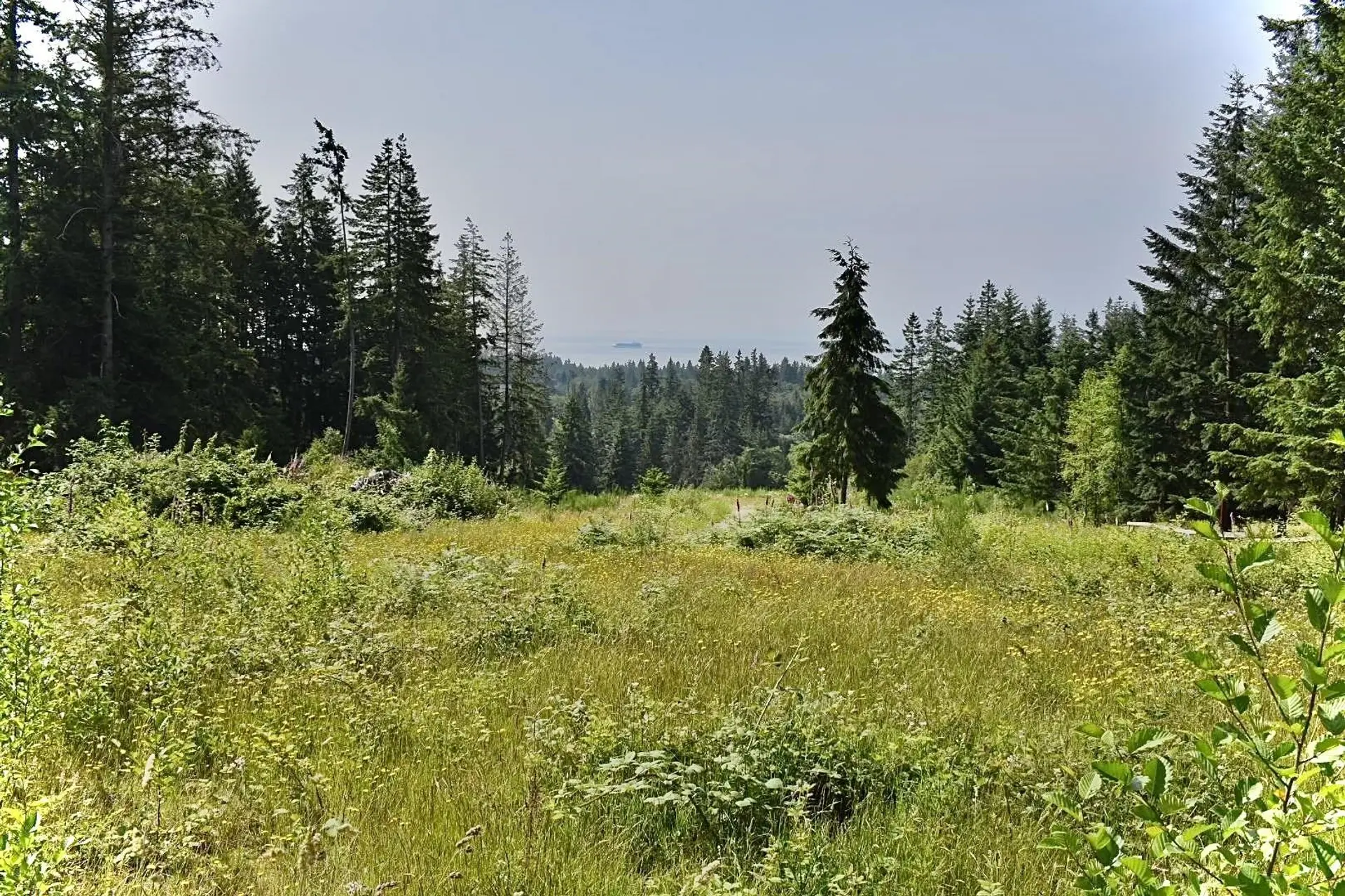 Property at 1491 REED ROAD, Gibsons, BC