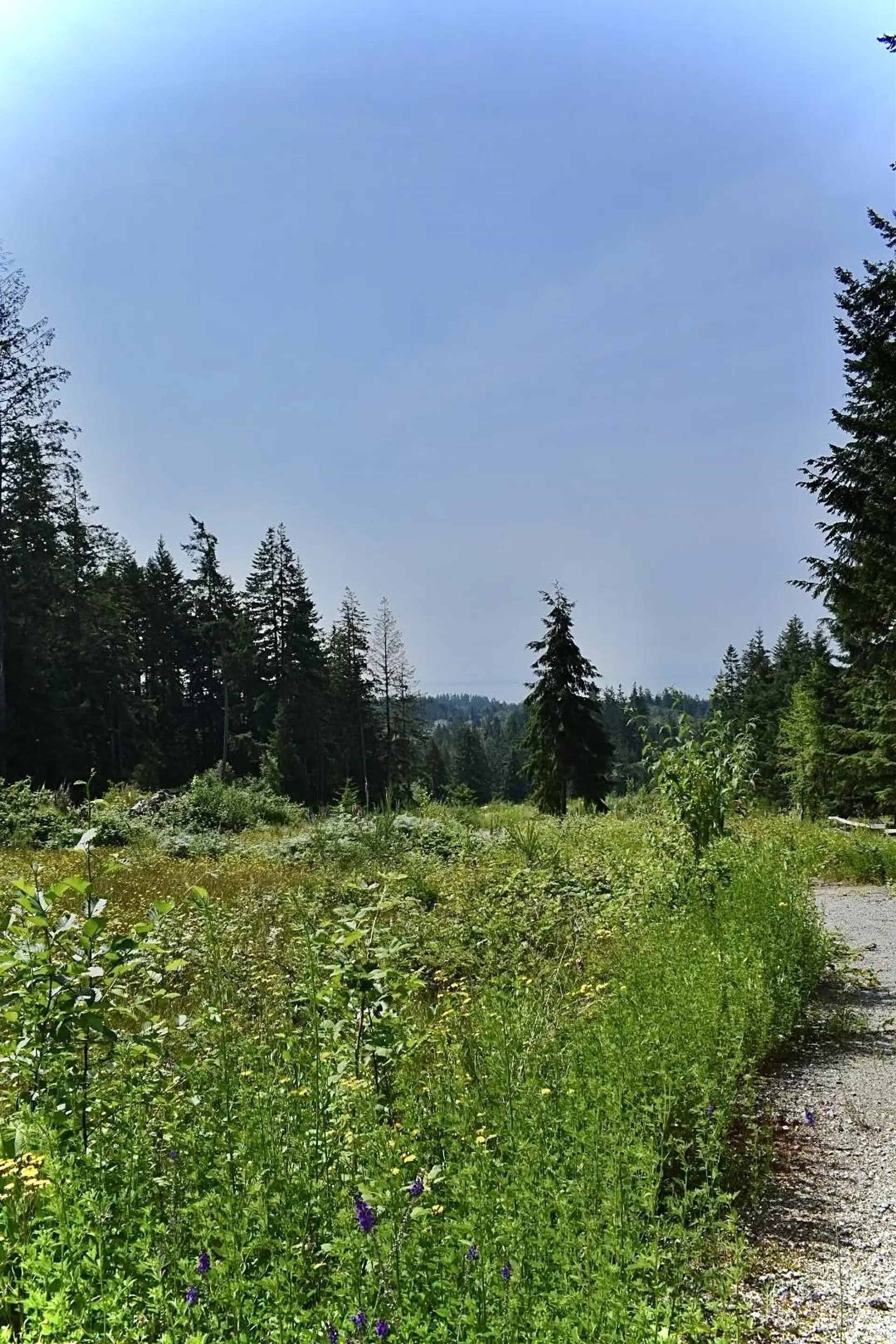 Property at 1491 REED ROAD, Gibsons, BC