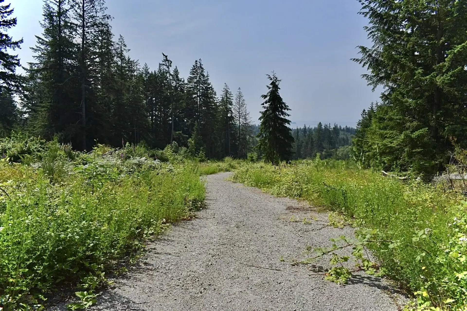 Property at 1491 REED ROAD, Gibsons, BC