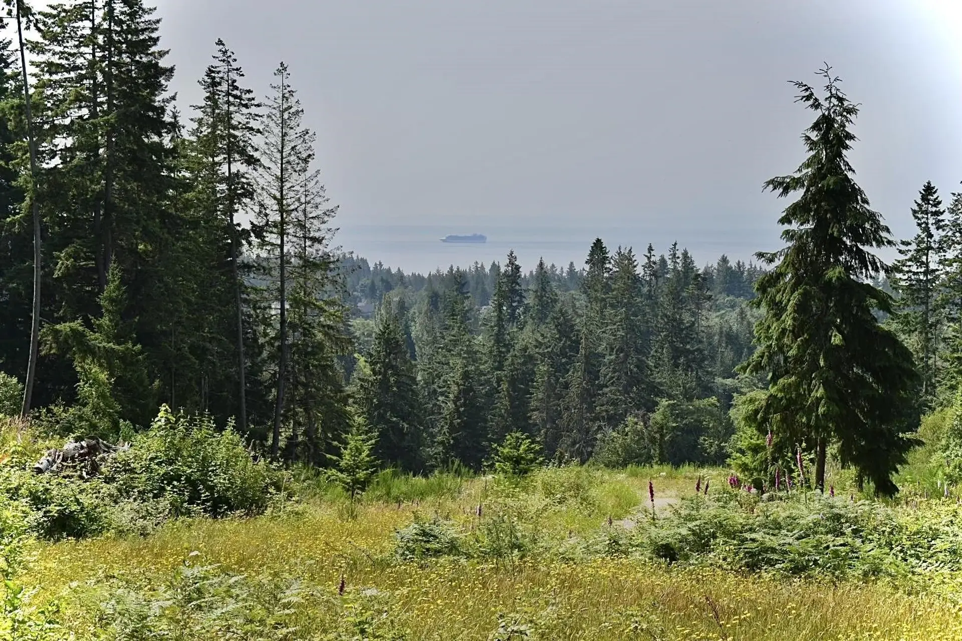 Property at 1491 REED ROAD, Gibsons, BC