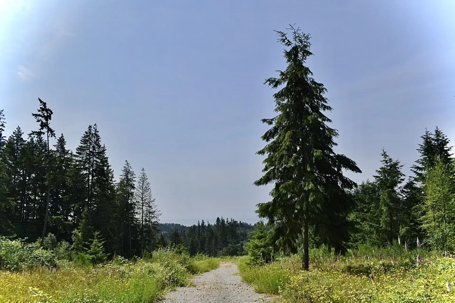 Property at 1491 REED ROAD, Gibsons, BC