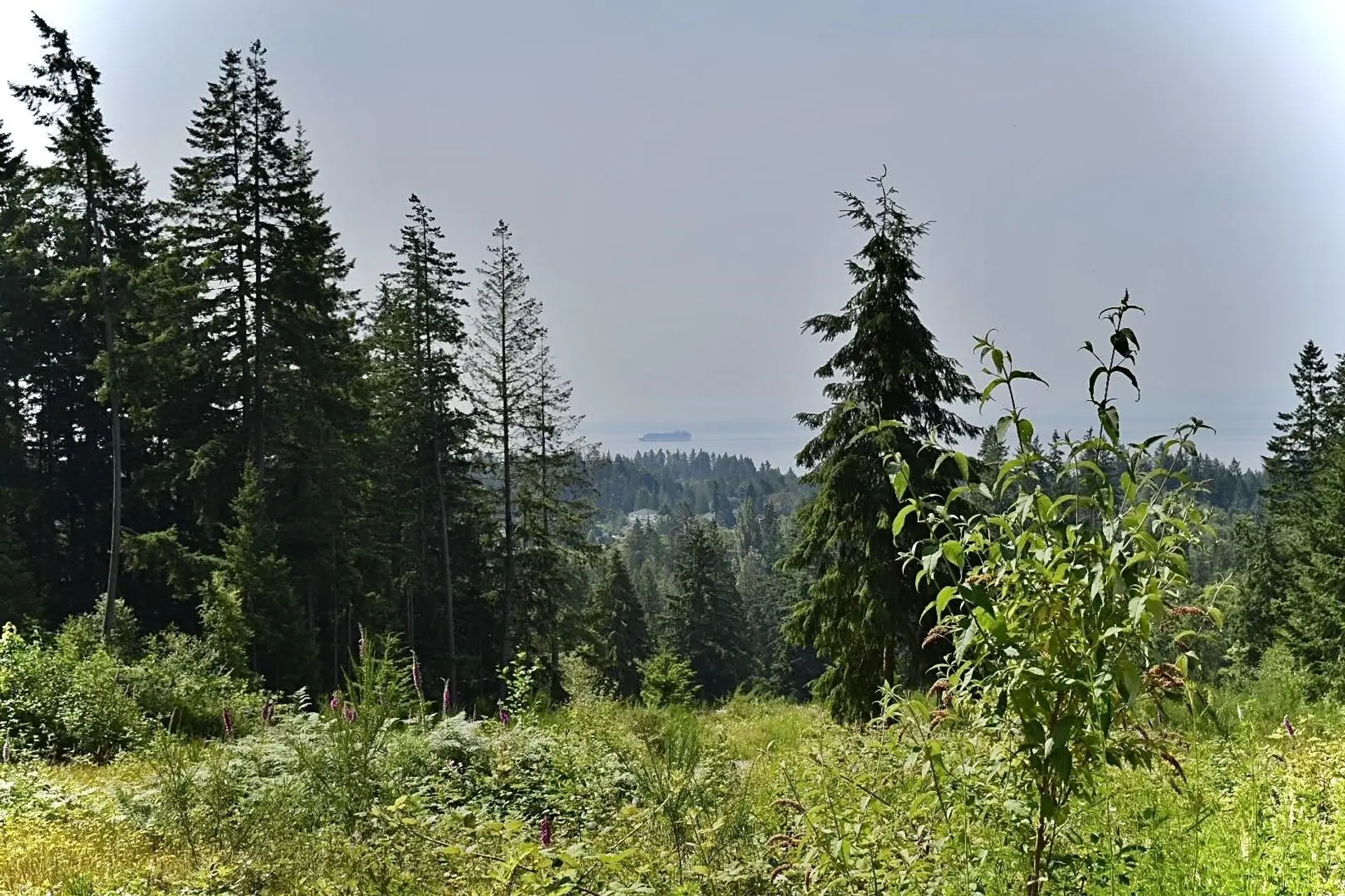 Property at 1491 REED ROAD, Gibsons, BC