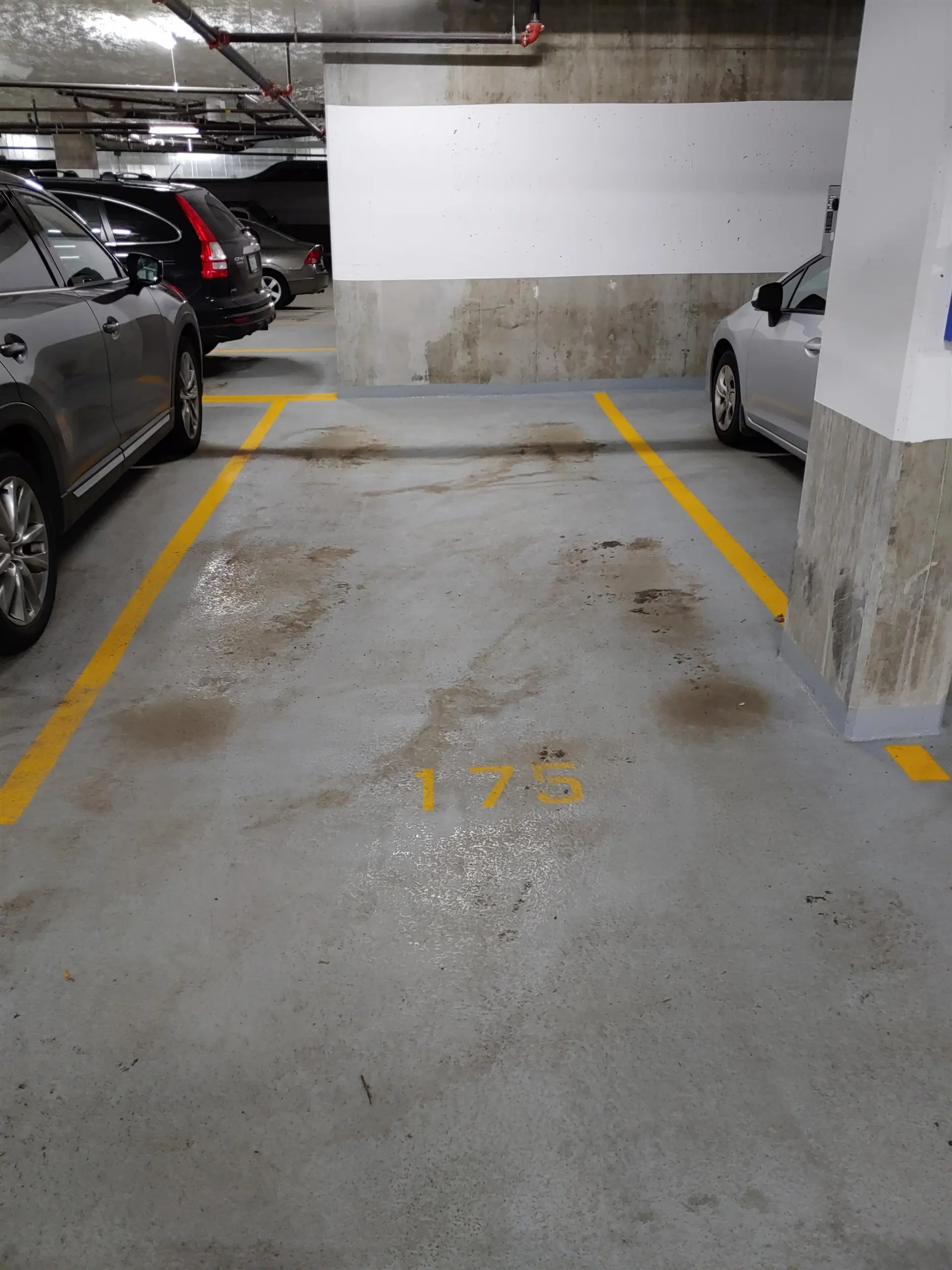 Property at #103 1152 WINDSOR MEWS, Coquitlam, BC